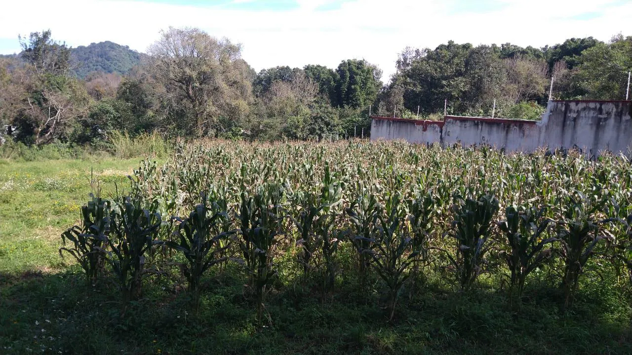 Terreno Spot2