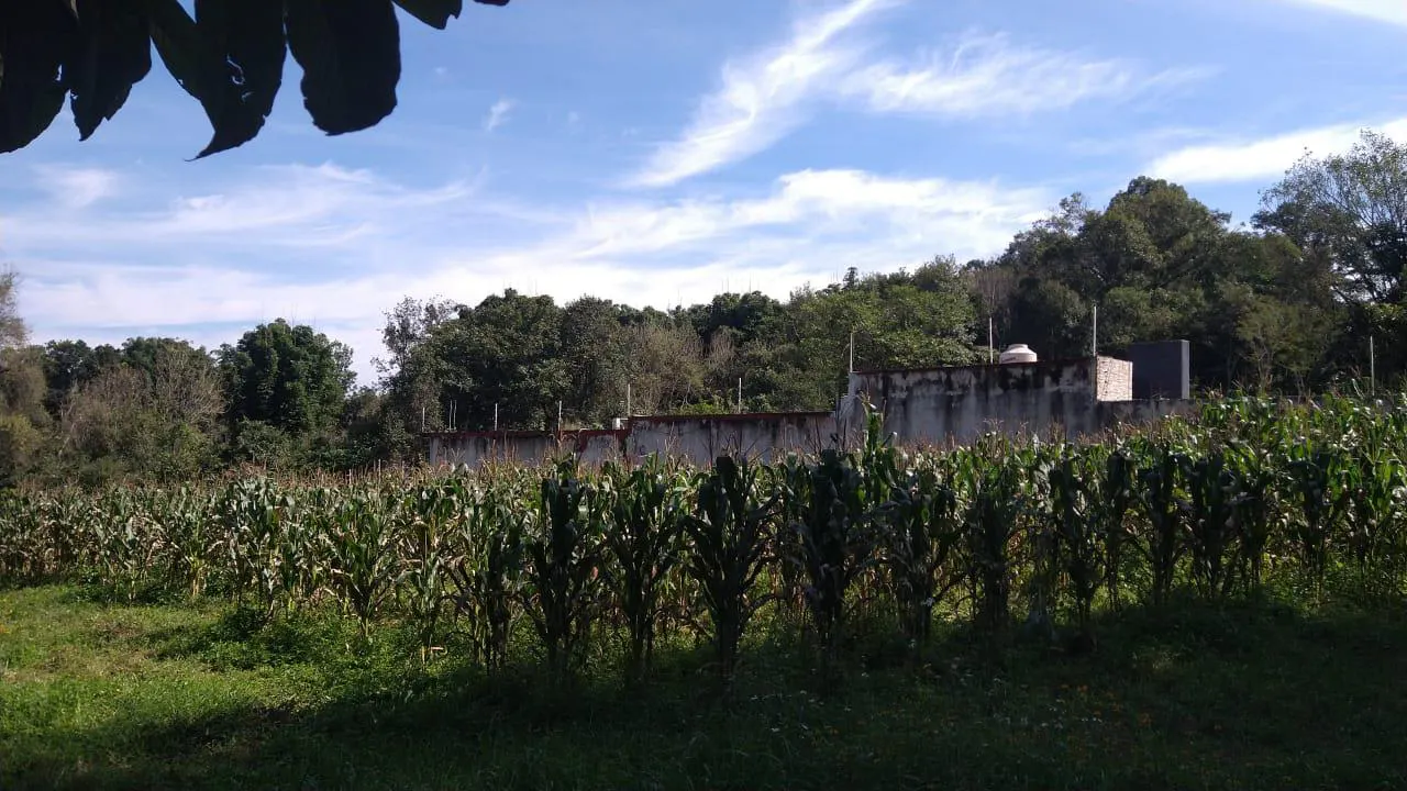 Terreno Spot2