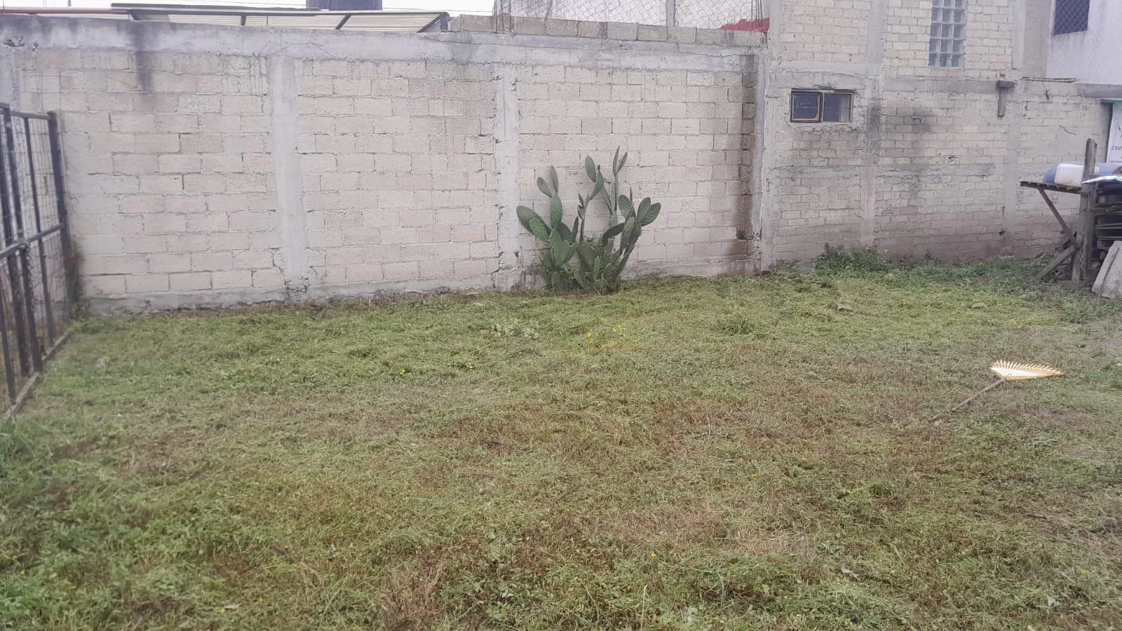 Terreno Spot2