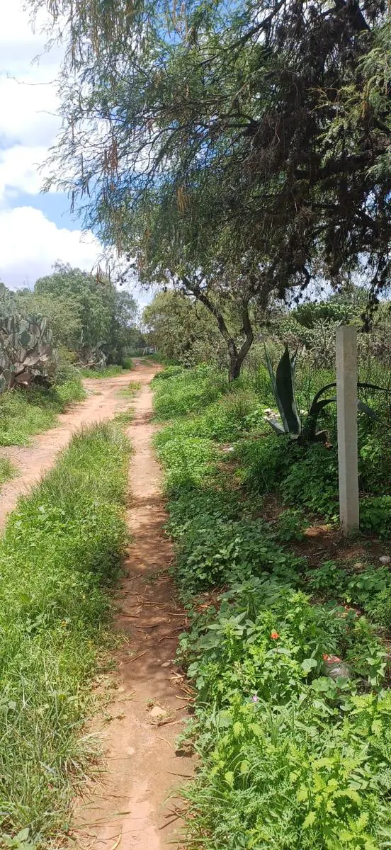 Terreno Spot2