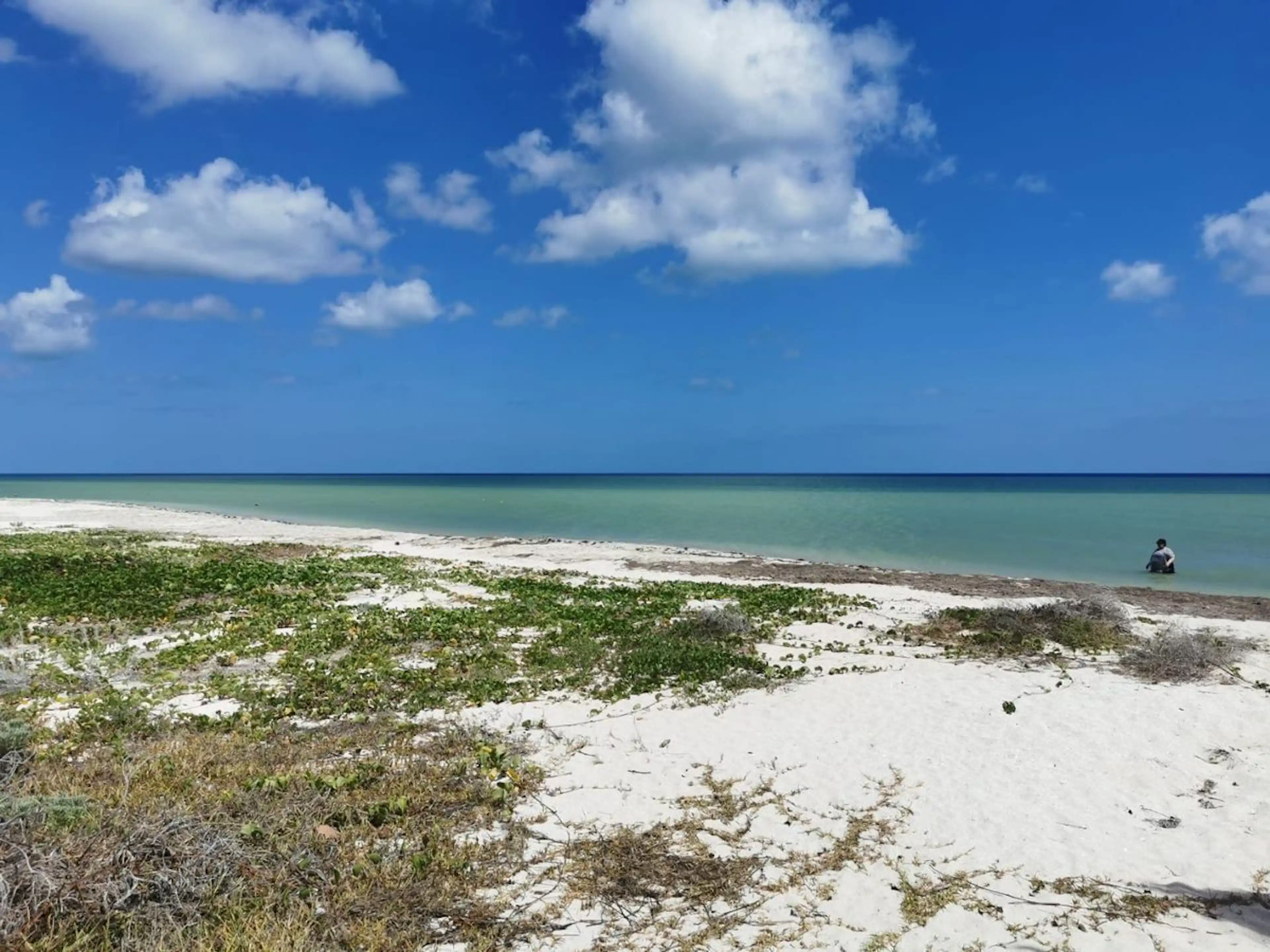 Venta De Terreno En San Benito Frente Al Mar