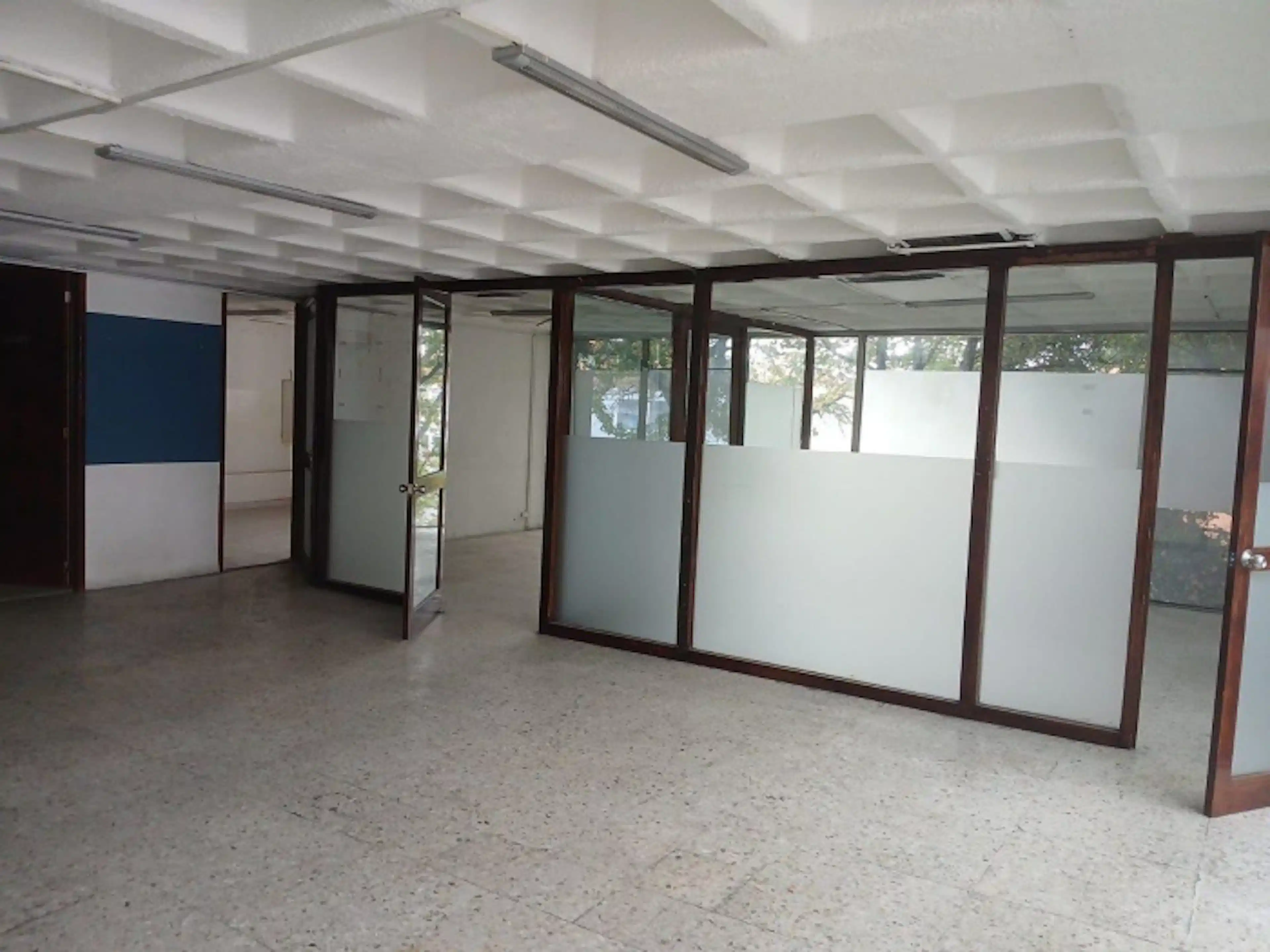 Fuerza Aérea Mexicana