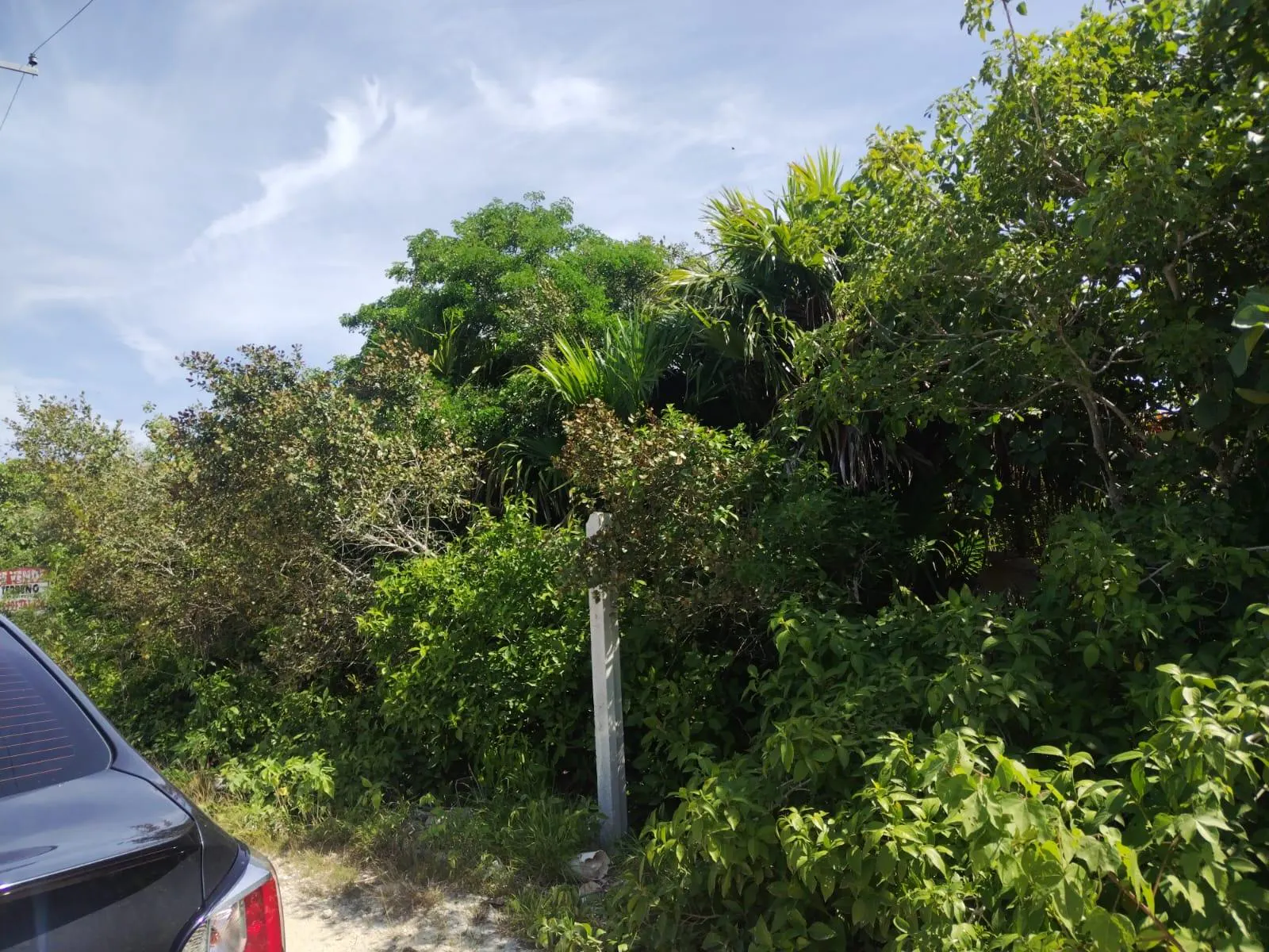 Terreno Spot2