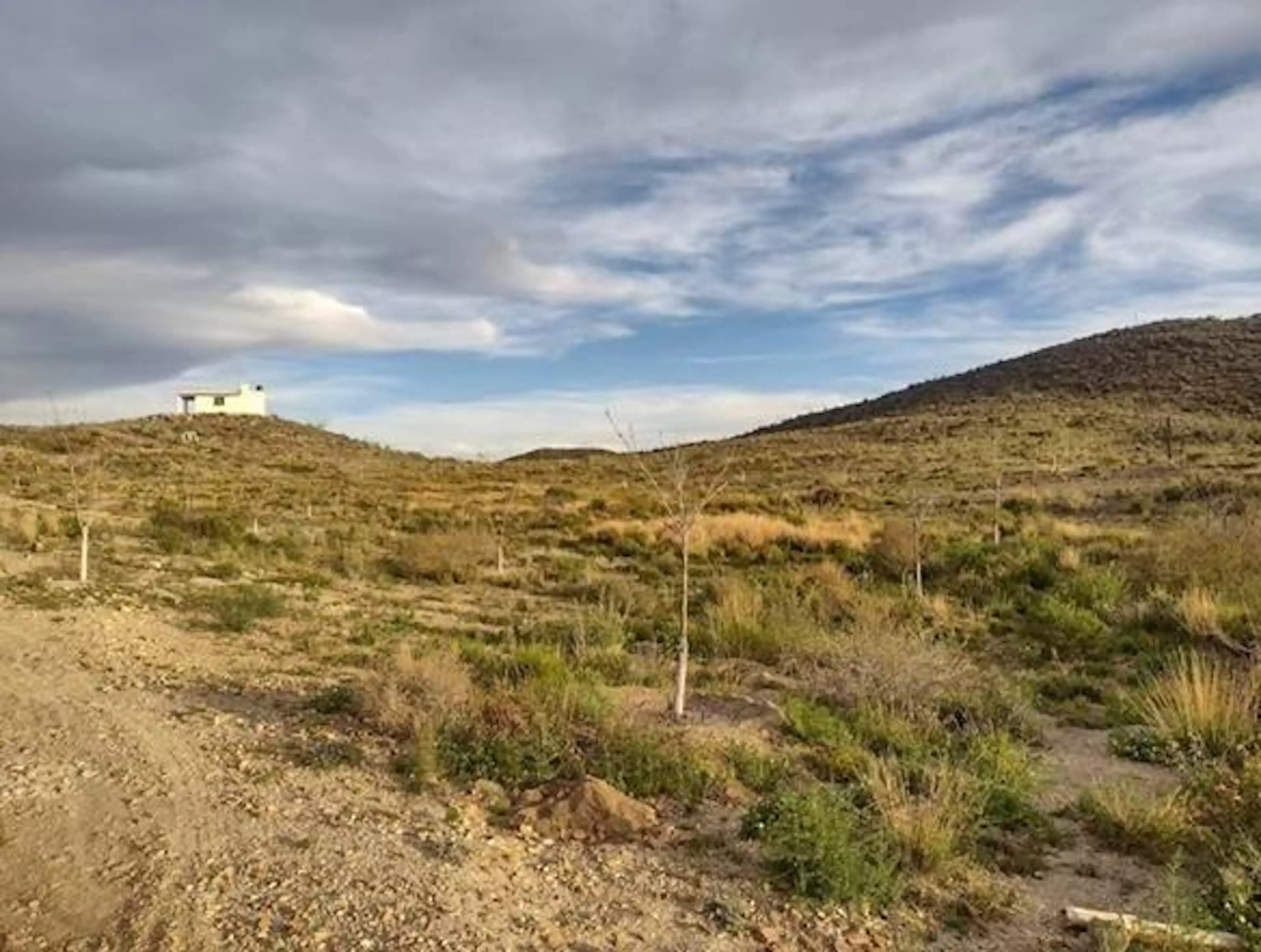 Terreno con construcción en Venta en Parras II, Coahuila de Zaragoza
