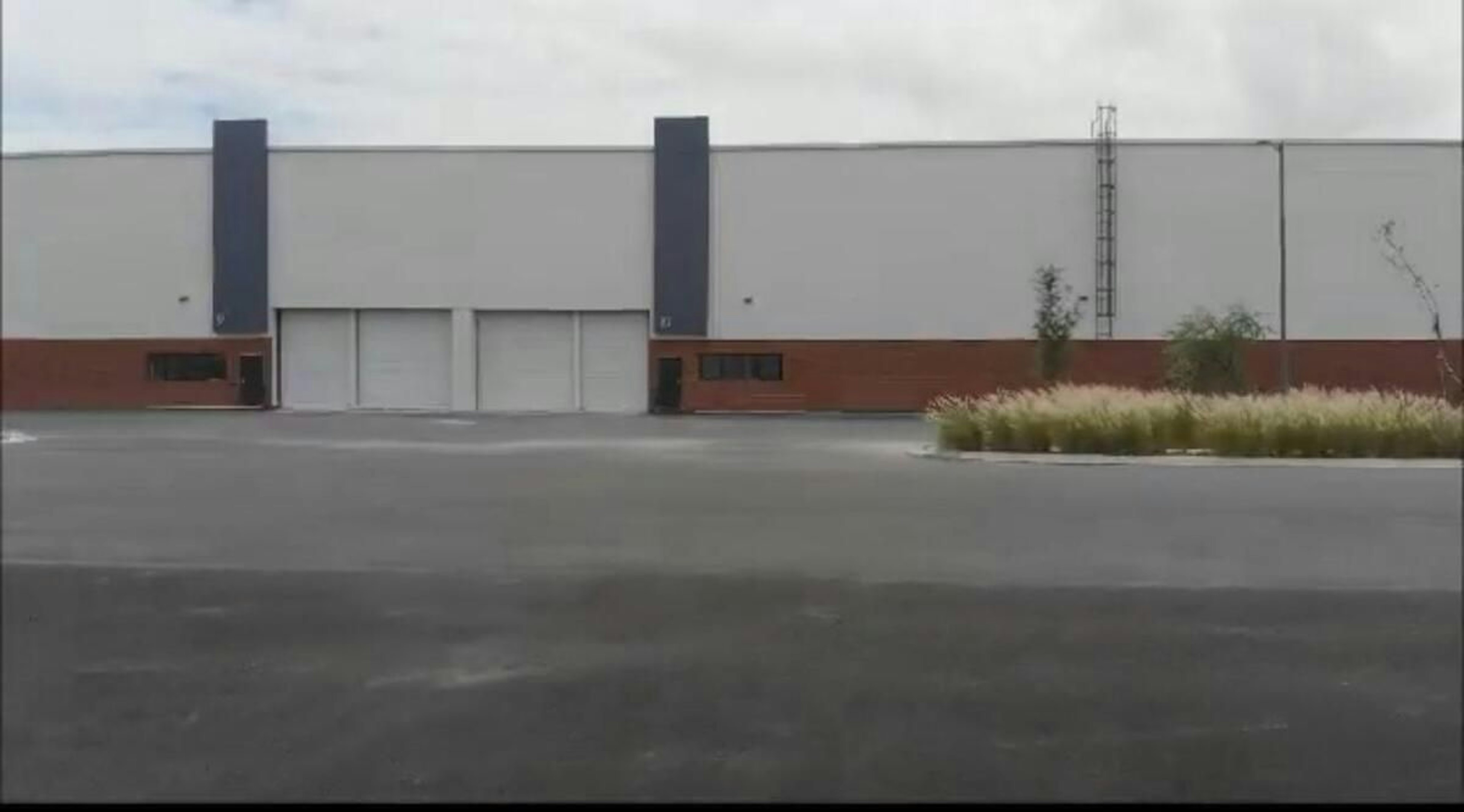 Spot image 0