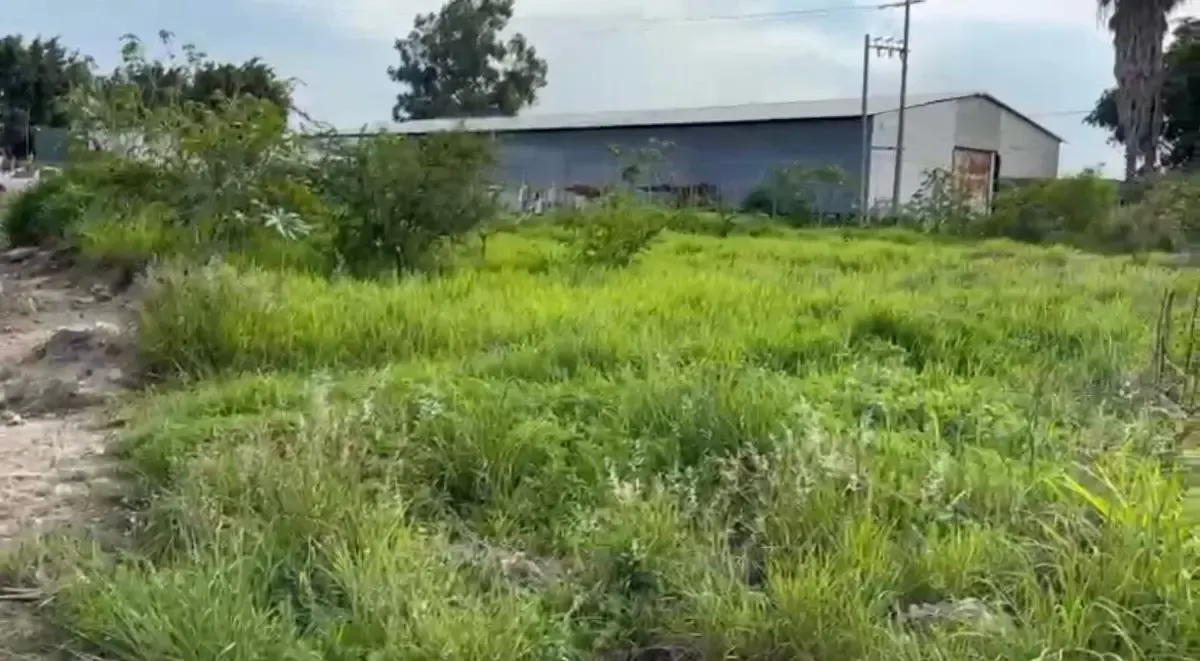 Terreno Spot2