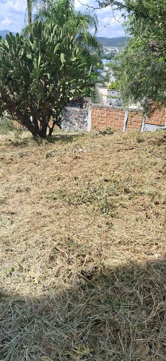 Terreno Spot2
