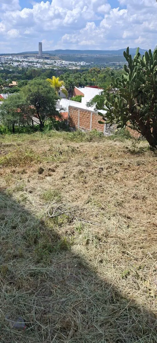 Terreno Spot2