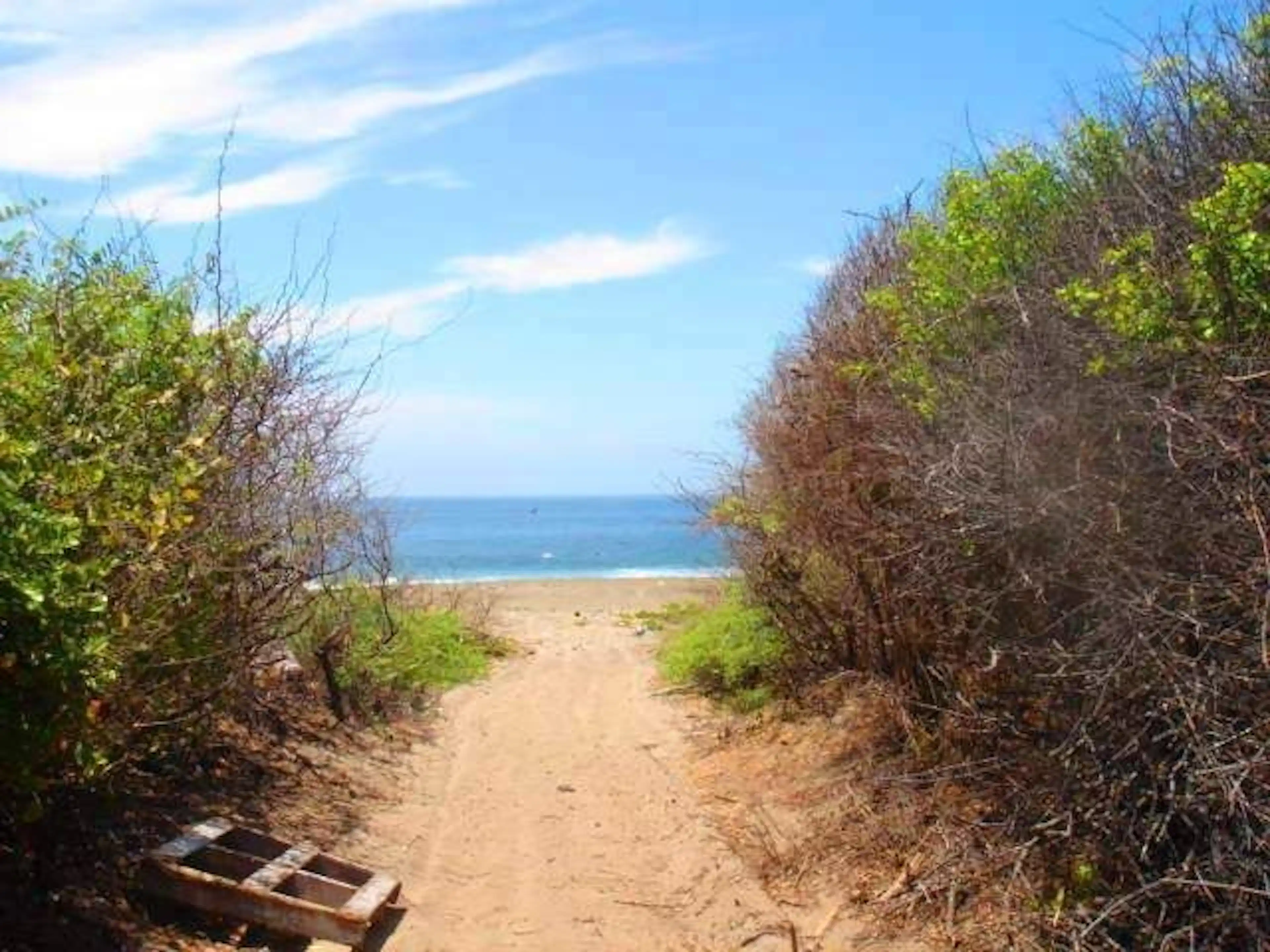 Terreno Venta Petatlán Guerrero, Agua Dulce, Barra de Potosí, CTV563151