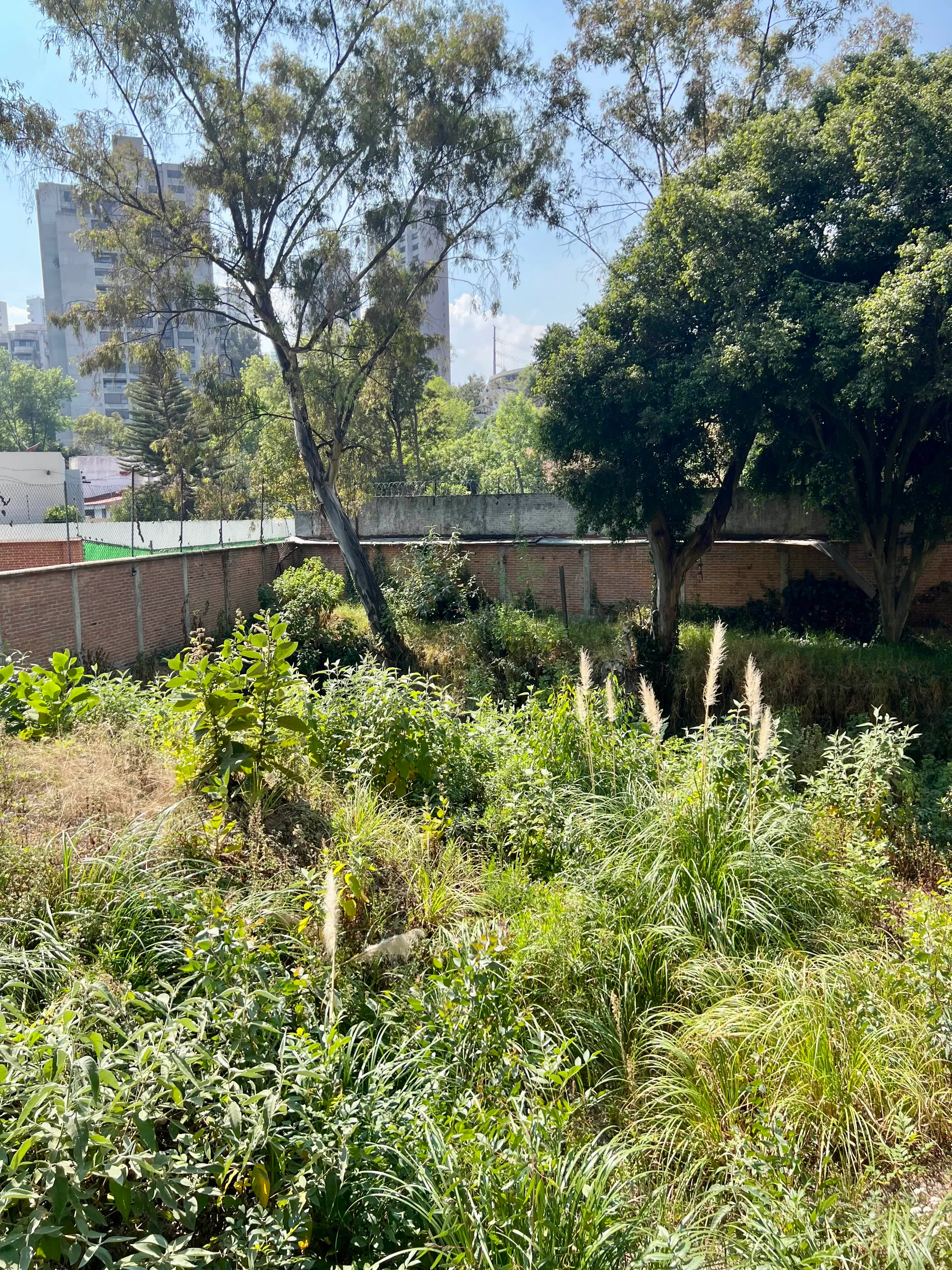 Terreno Spot2