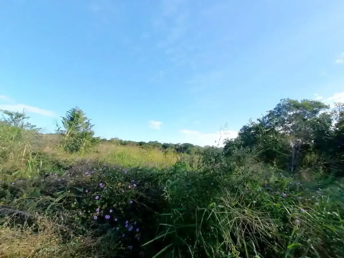 Terreno Spot2