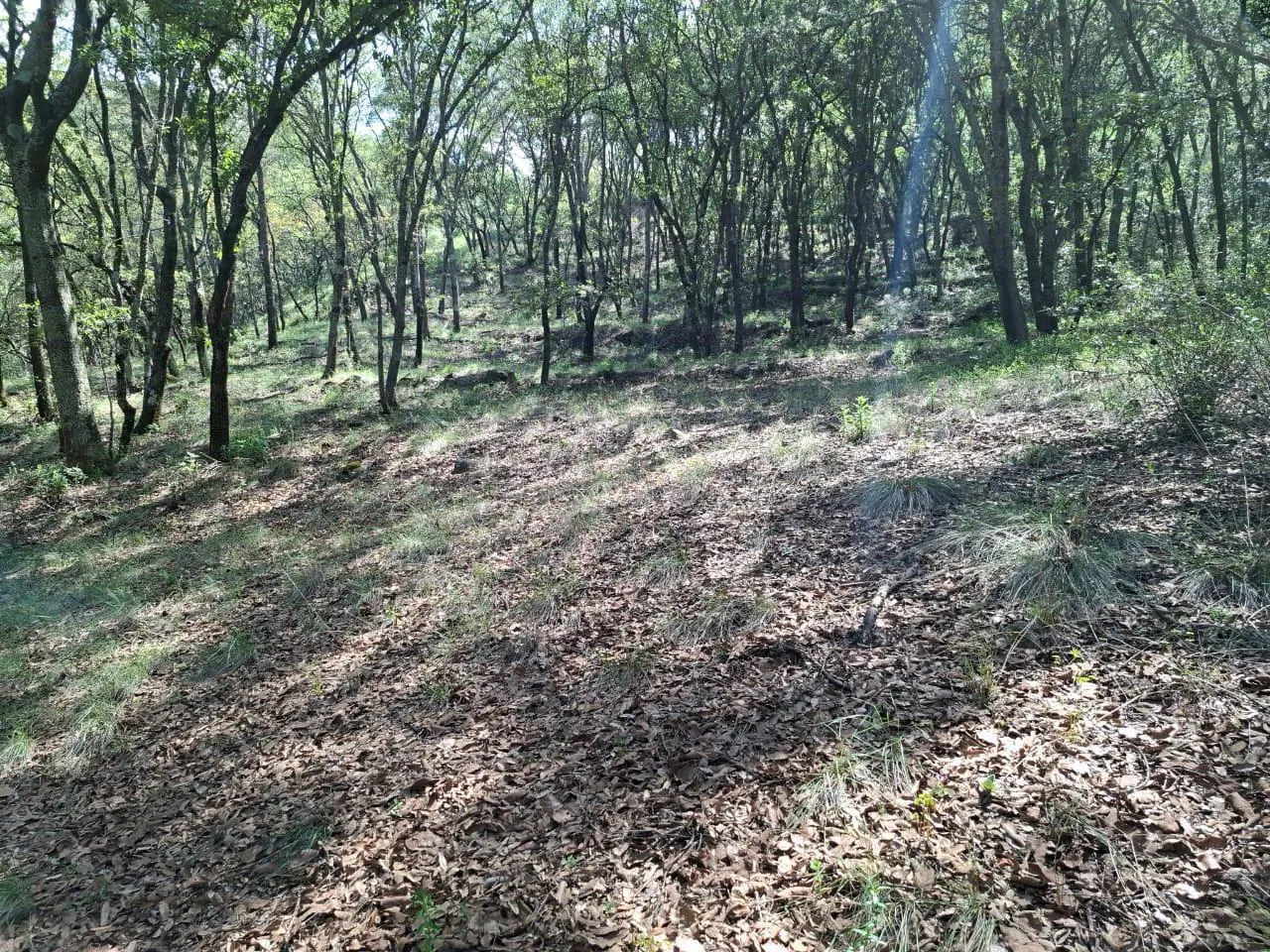 Terreno Spot2