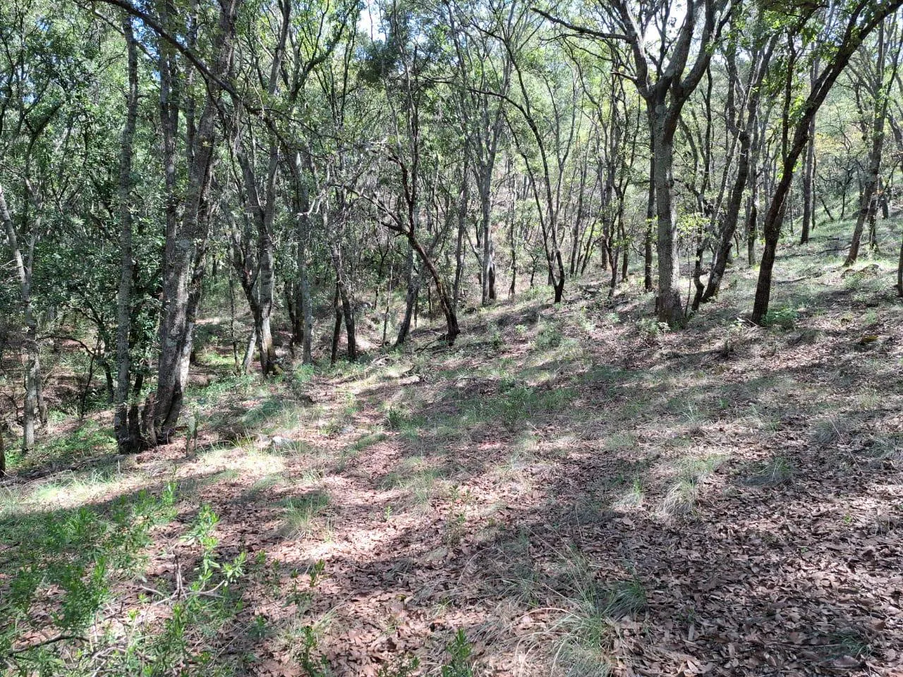 Terreno Spot2