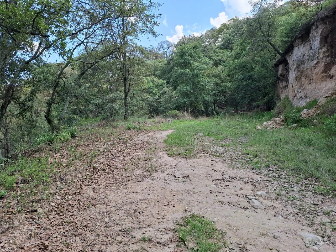 Terreno Spot2