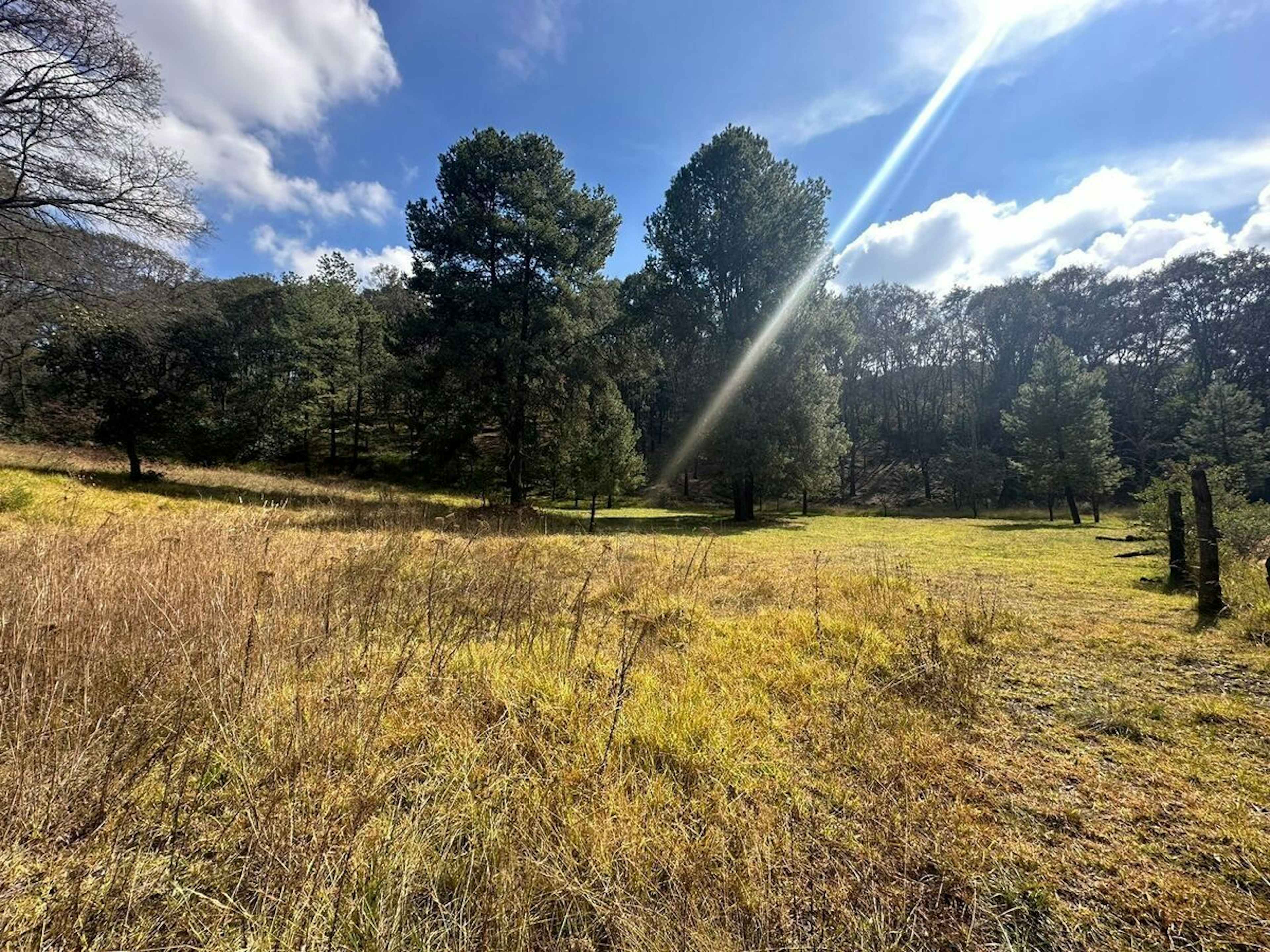 Boulevard Chiluca-espiritu Santo 39