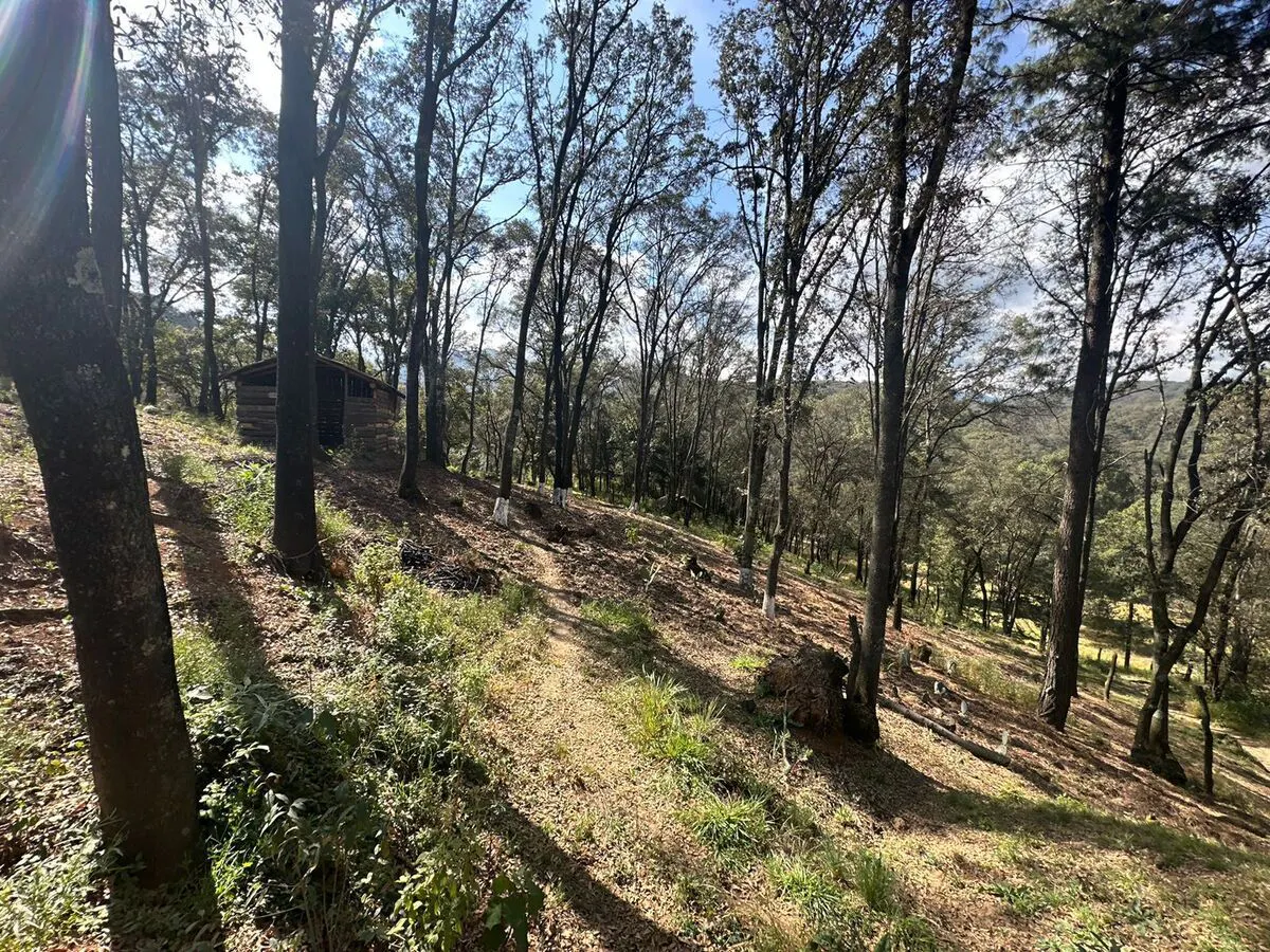 Terreno Spot2