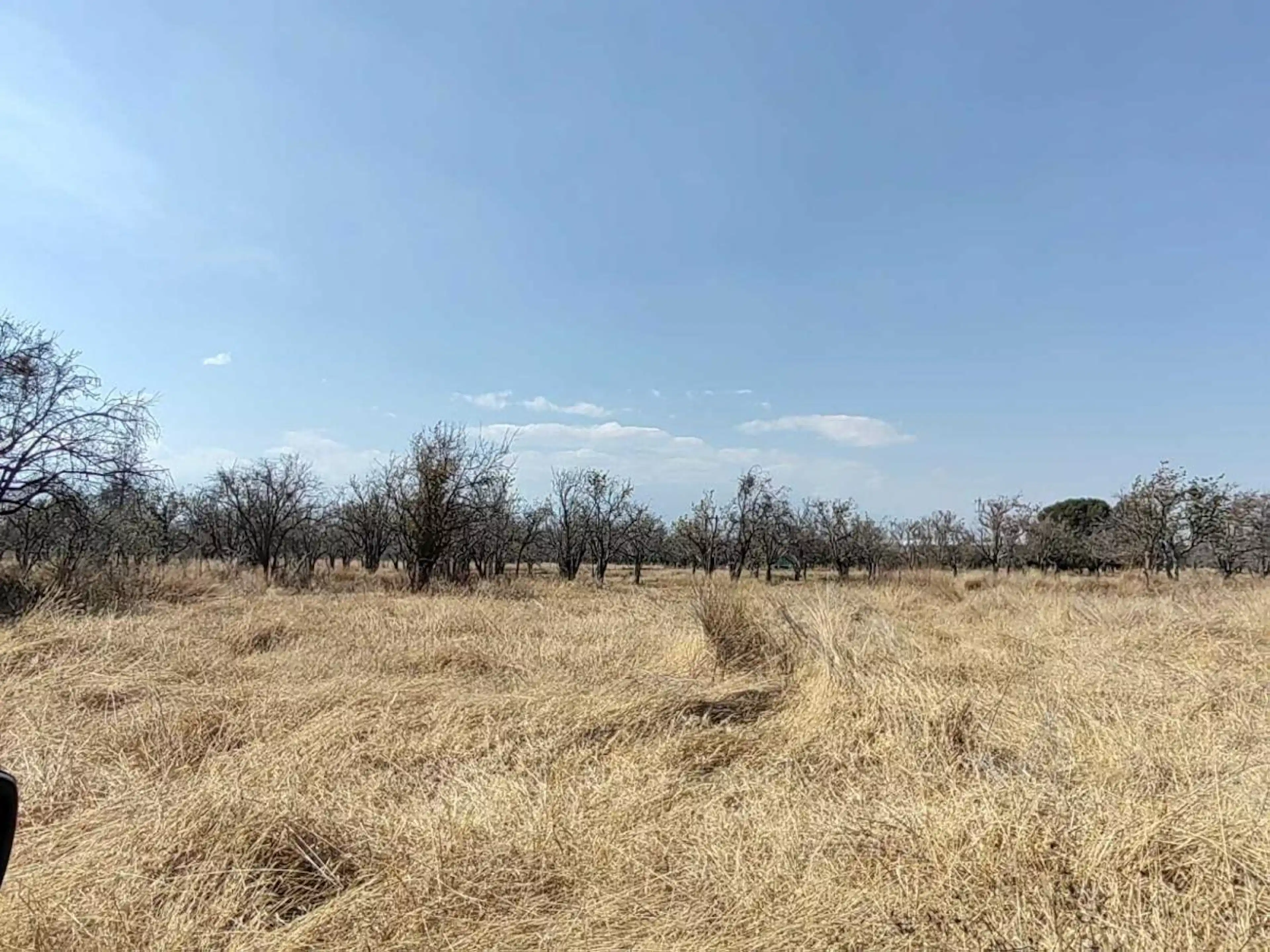 Terreno En Renta En Real De Huejotzingo, Huejotzingo, Puebla