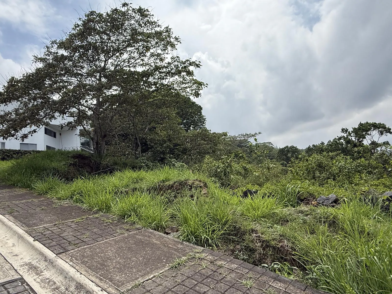 Terreno Spot2