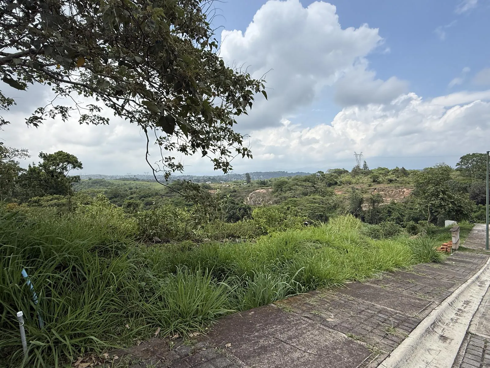 Terreno Spot2