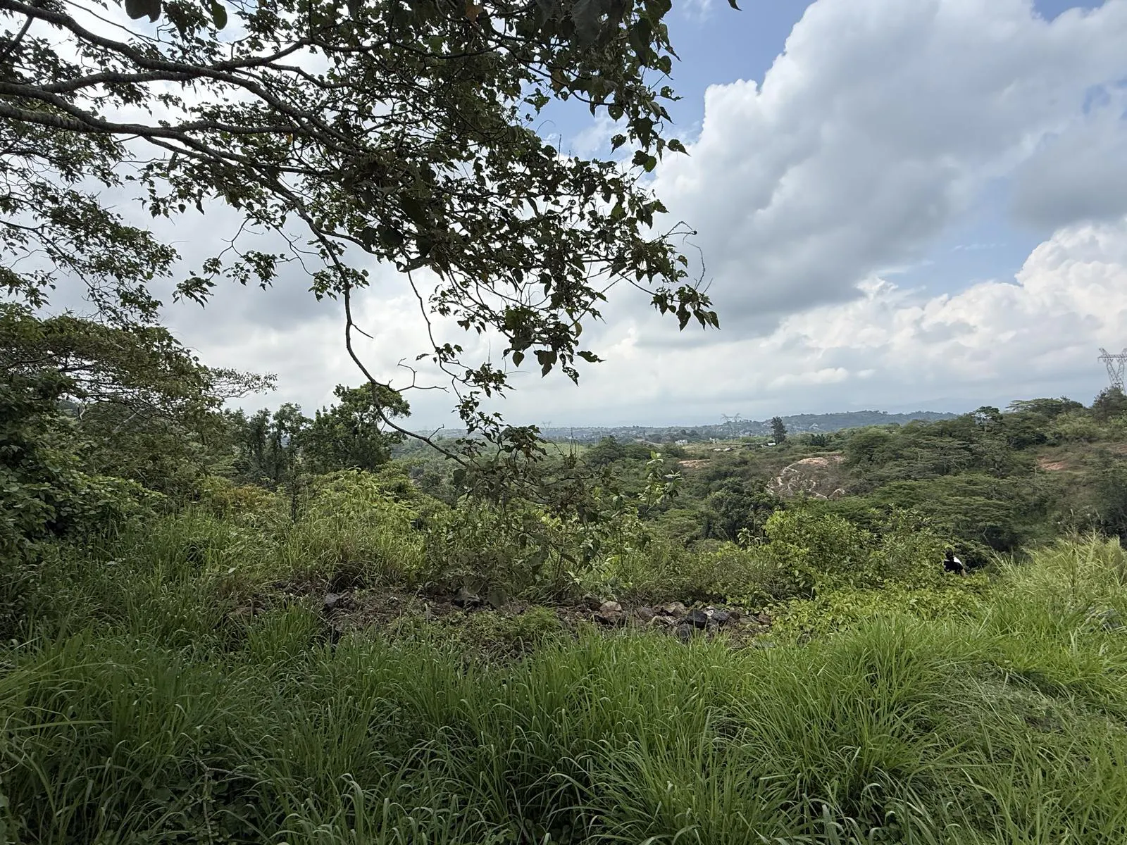 Terreno Spot2