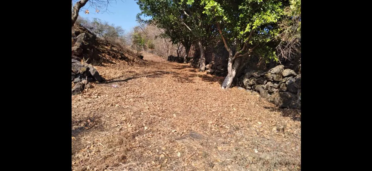 Terreno Spot2