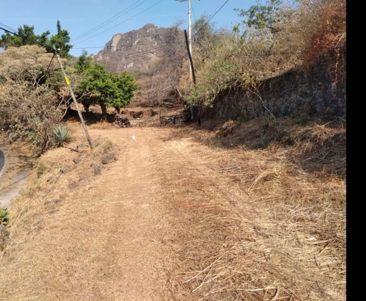 Terreno Spot2