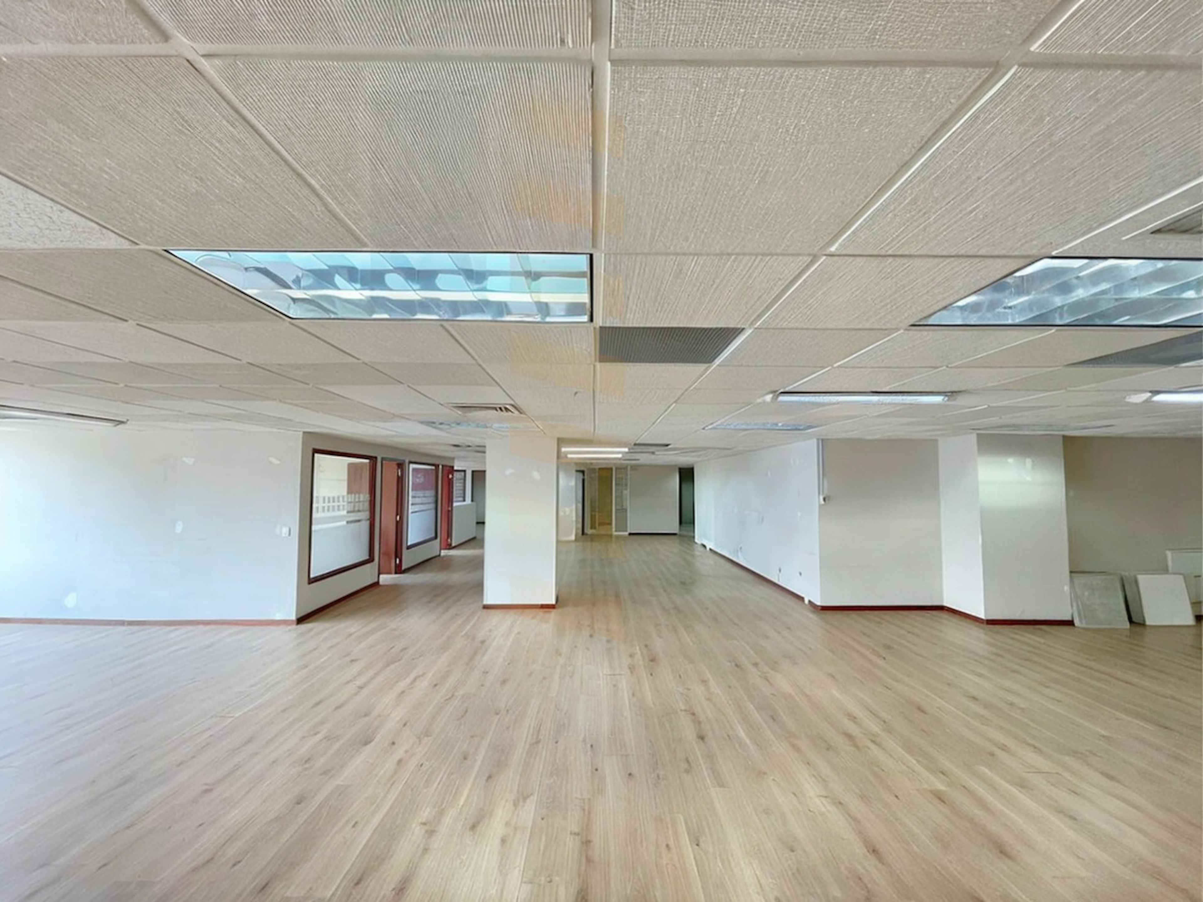 Avenida Insurgentes Sur