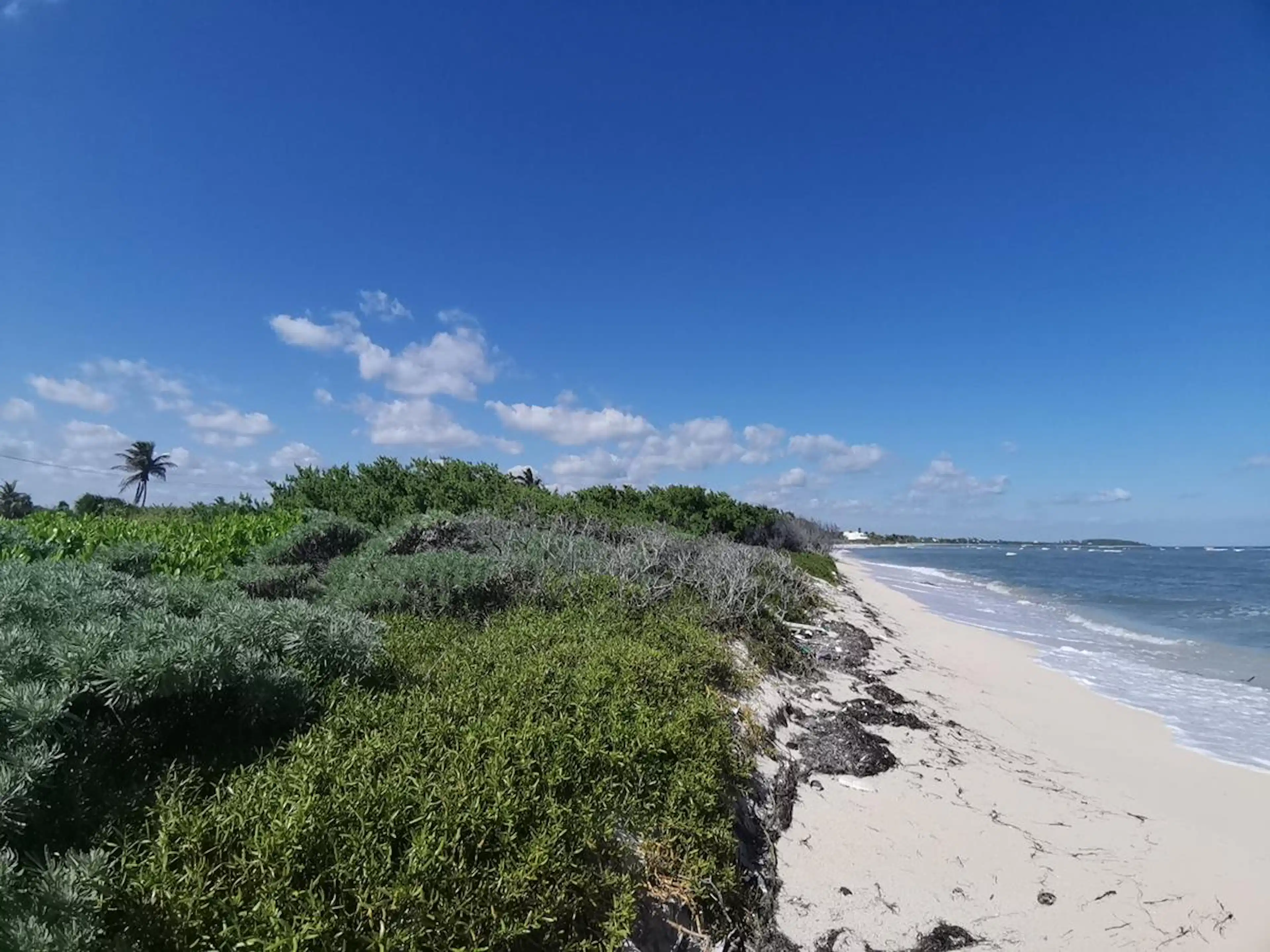 Terreno Frente Al Mar En Venta En Mahahual Con 20 Metros De Playa |  P2699
