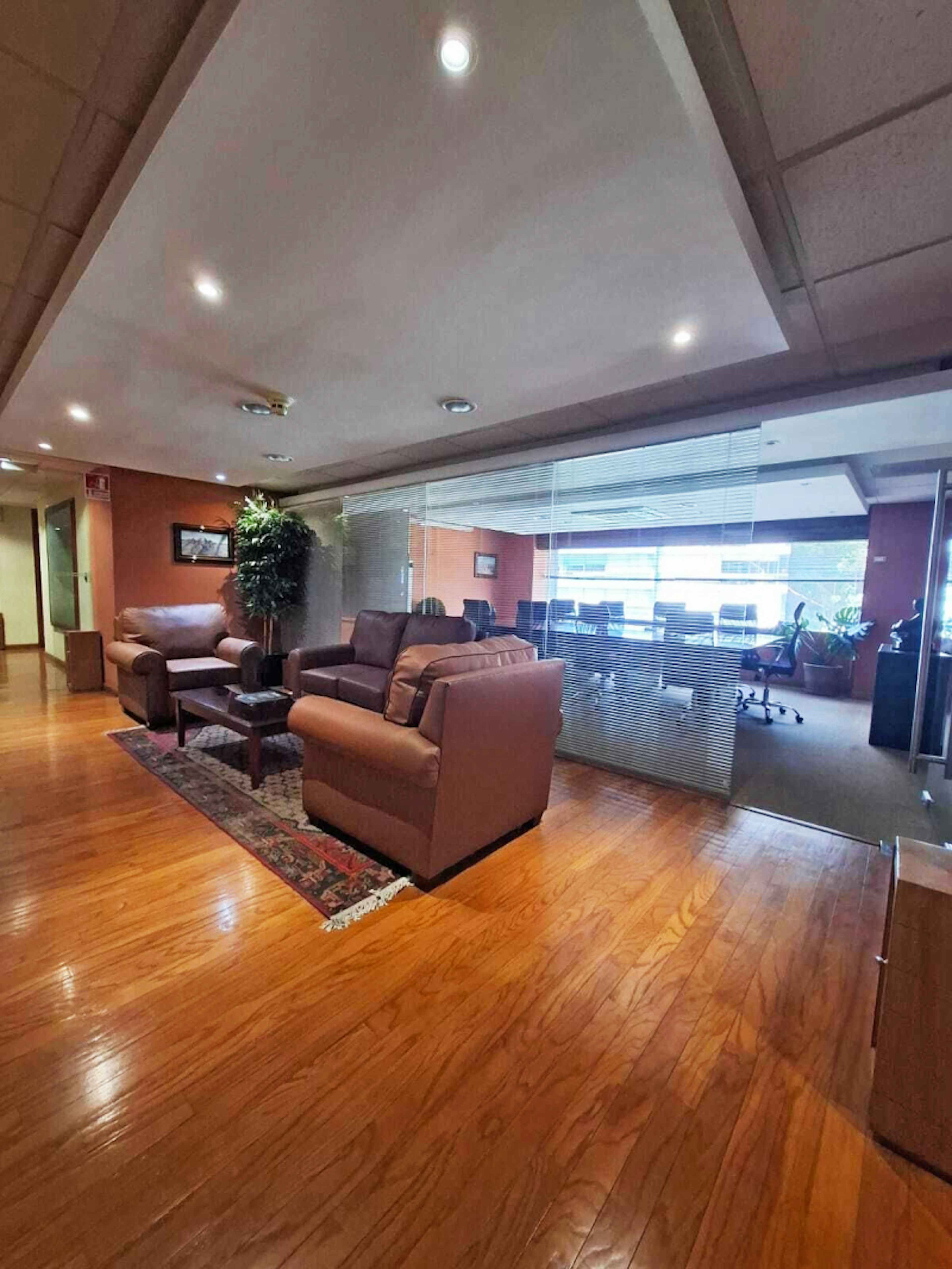 Bosque De Ciruelos 304