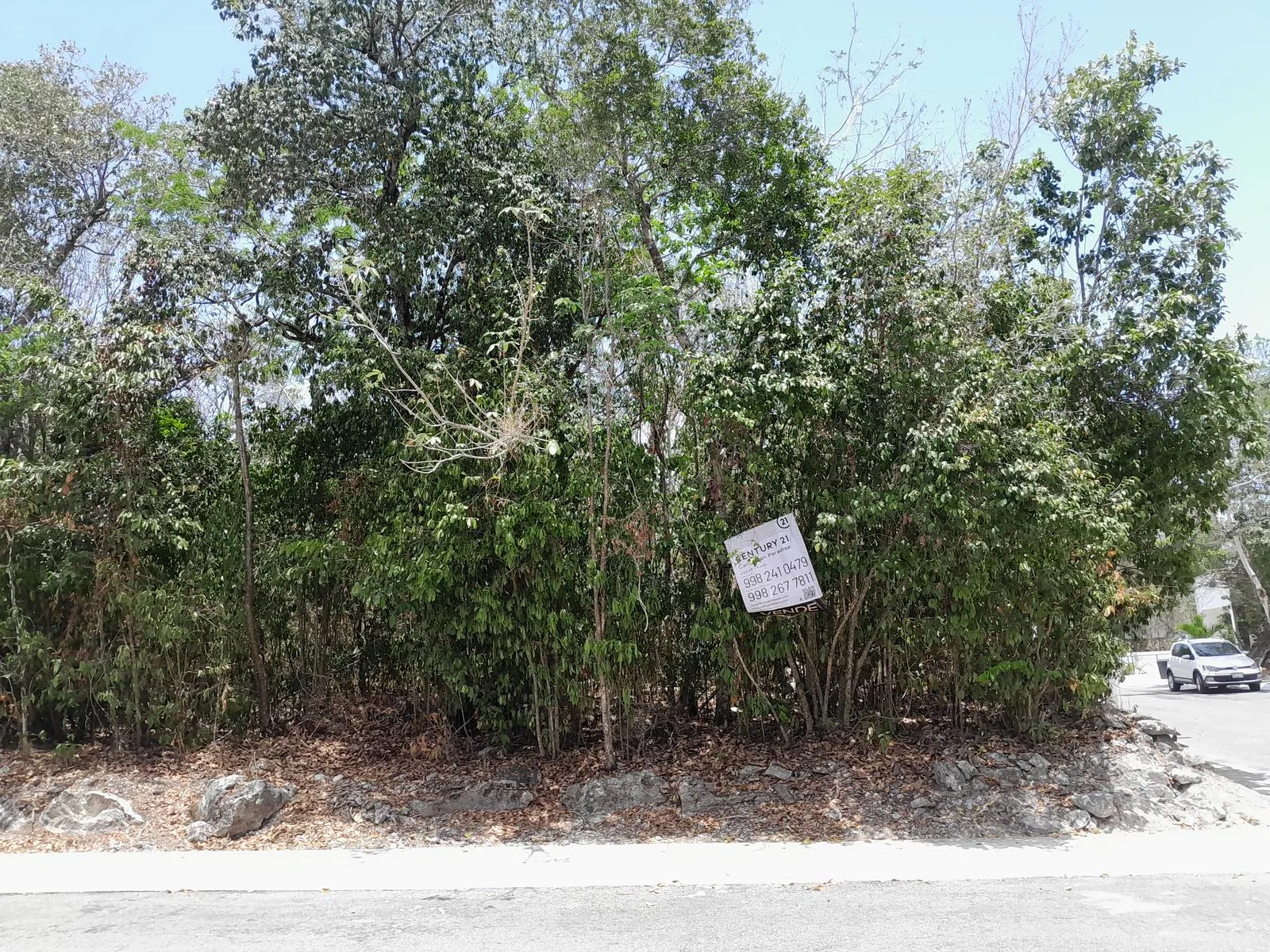 Terreno Spot2