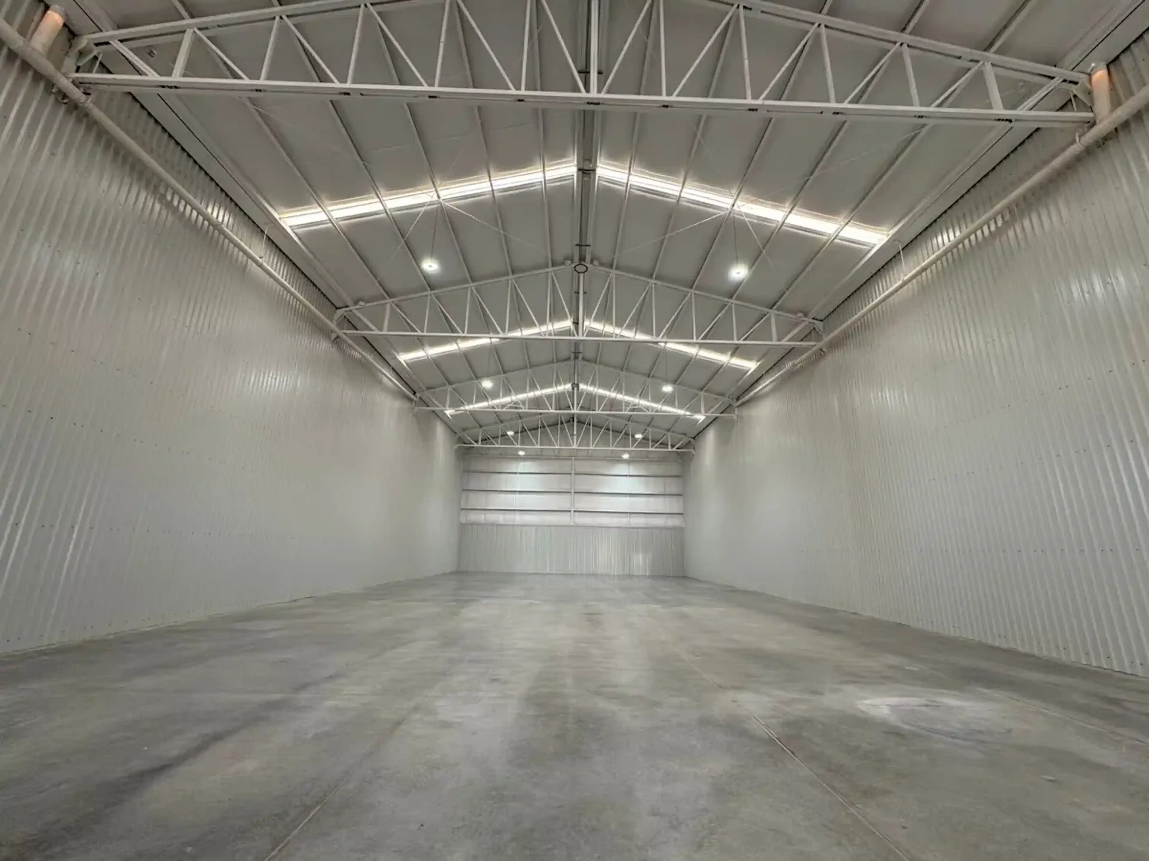 Sc S/n