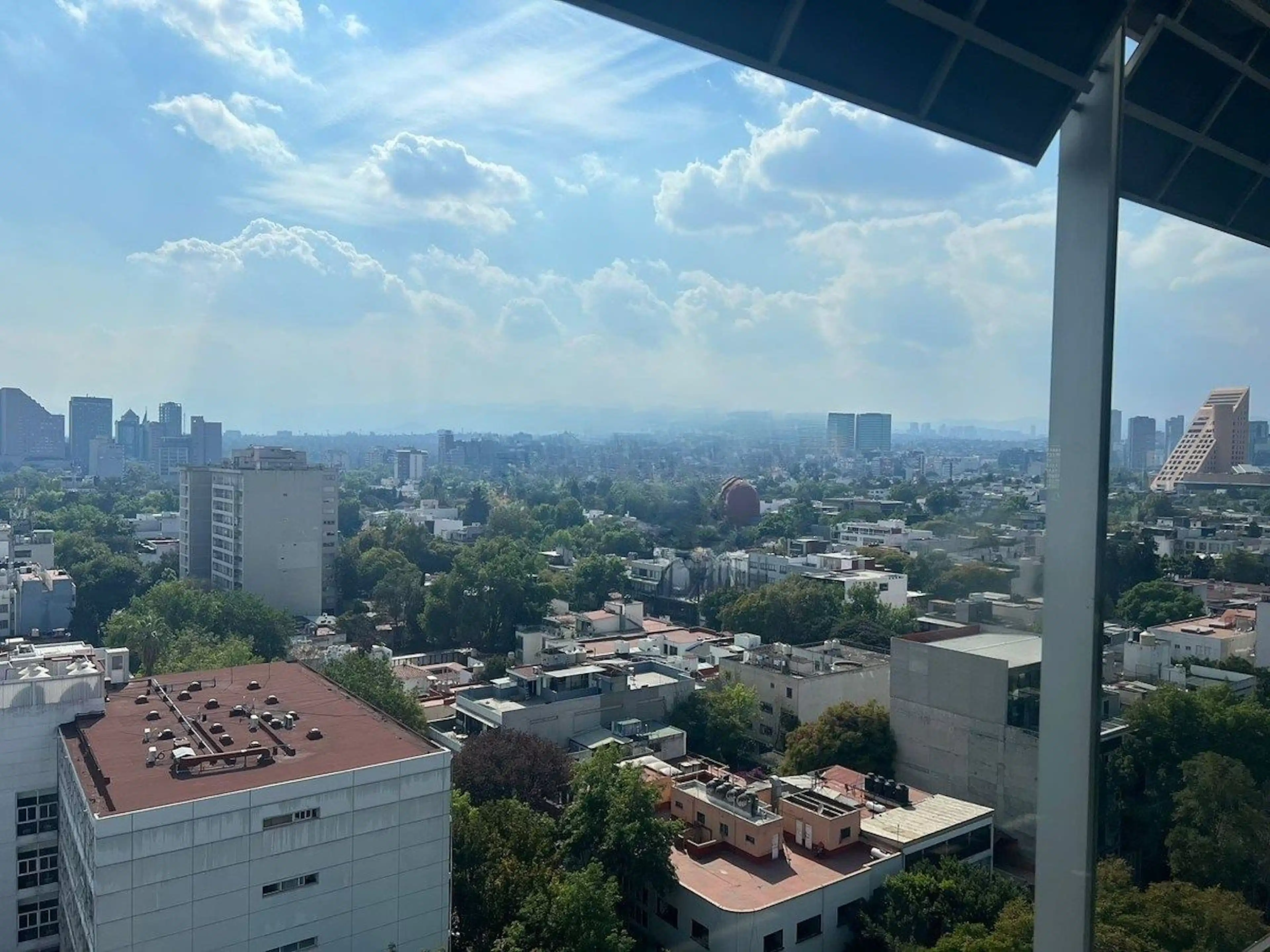 Avenida Ejército Nacional Mexicano