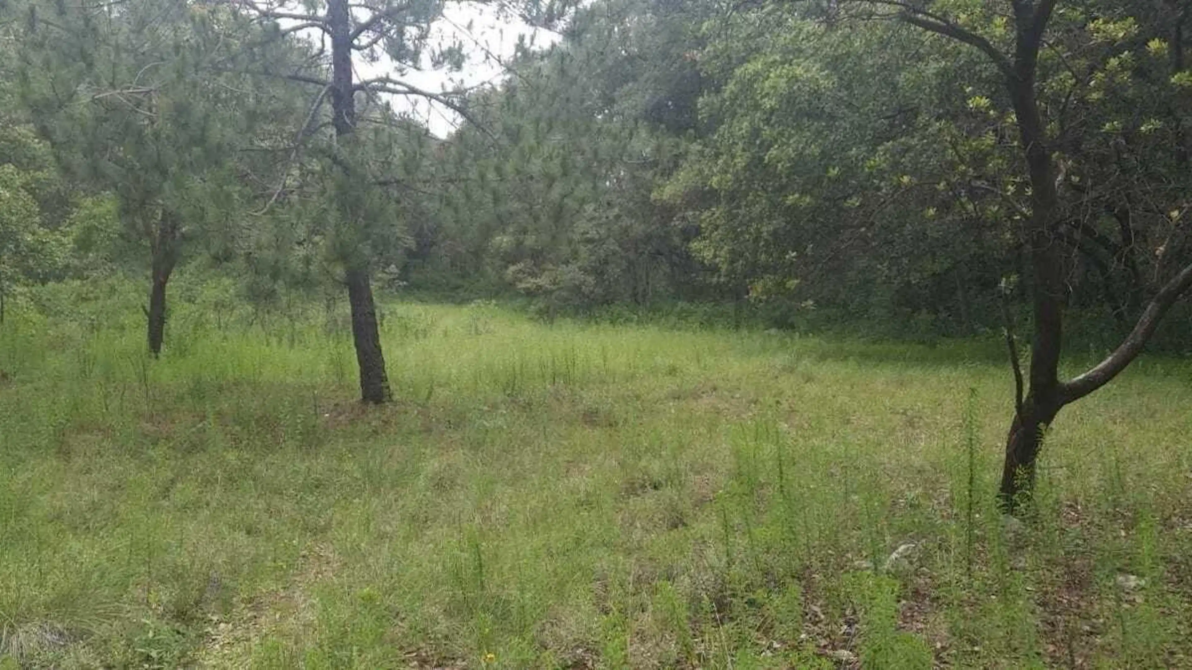 Venta de Terreno en Fracc. Campestre lt. 70, Villa del Carbón