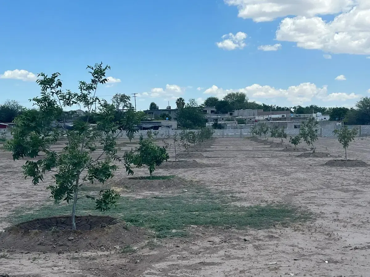 Terreno Spot2