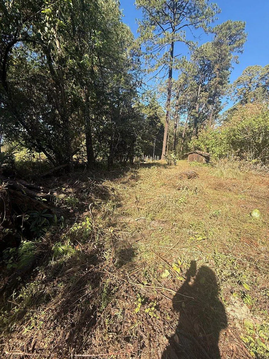 Terreno Spot2