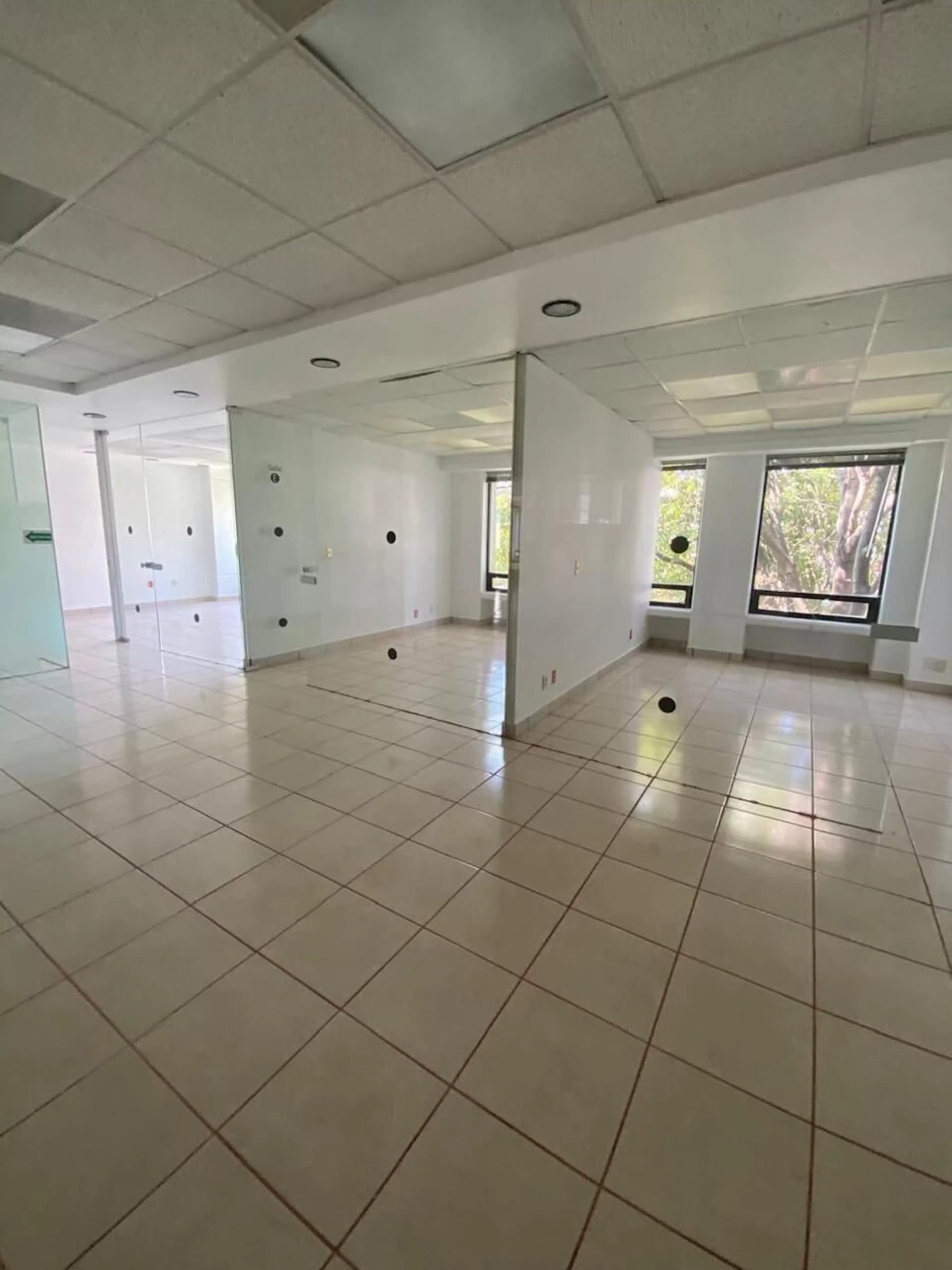 RENTA DE OFICINAS JOSE MARIA CASTORENA