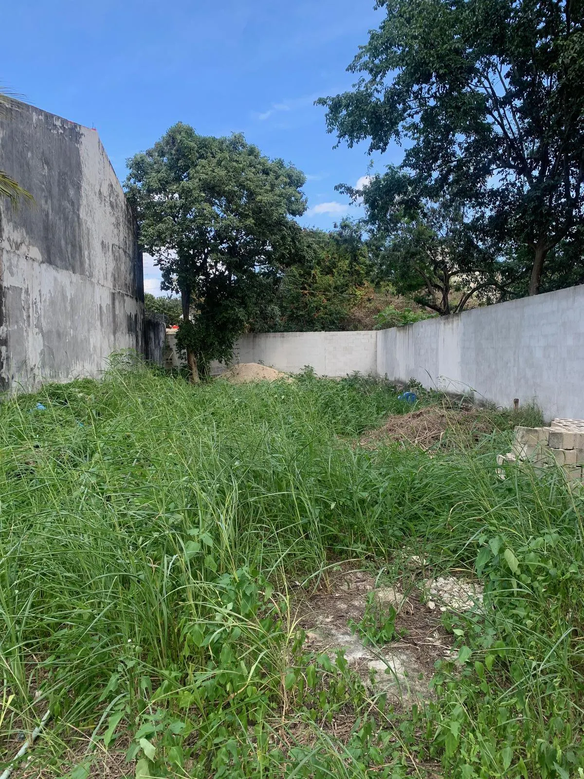 Terreno Spot2