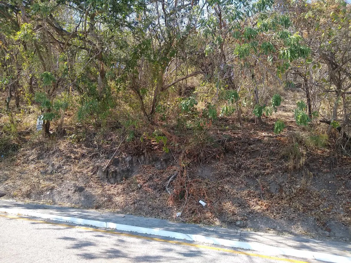 Terreno Spot2