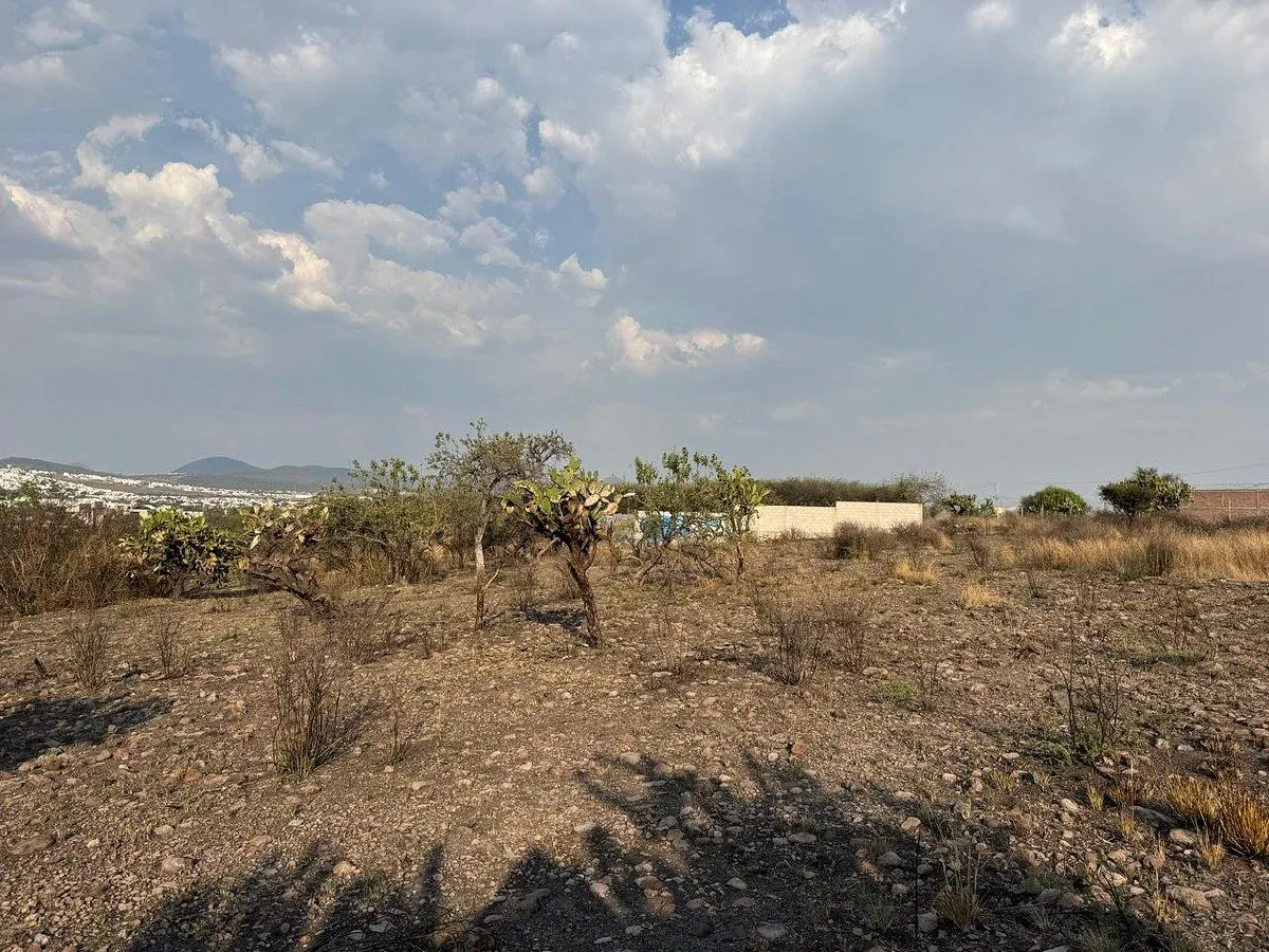Terreno Spot2