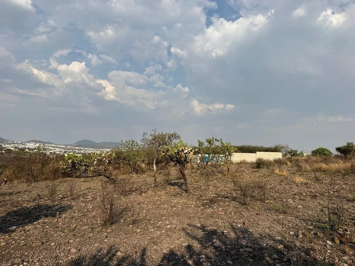 Terreno Spot2
