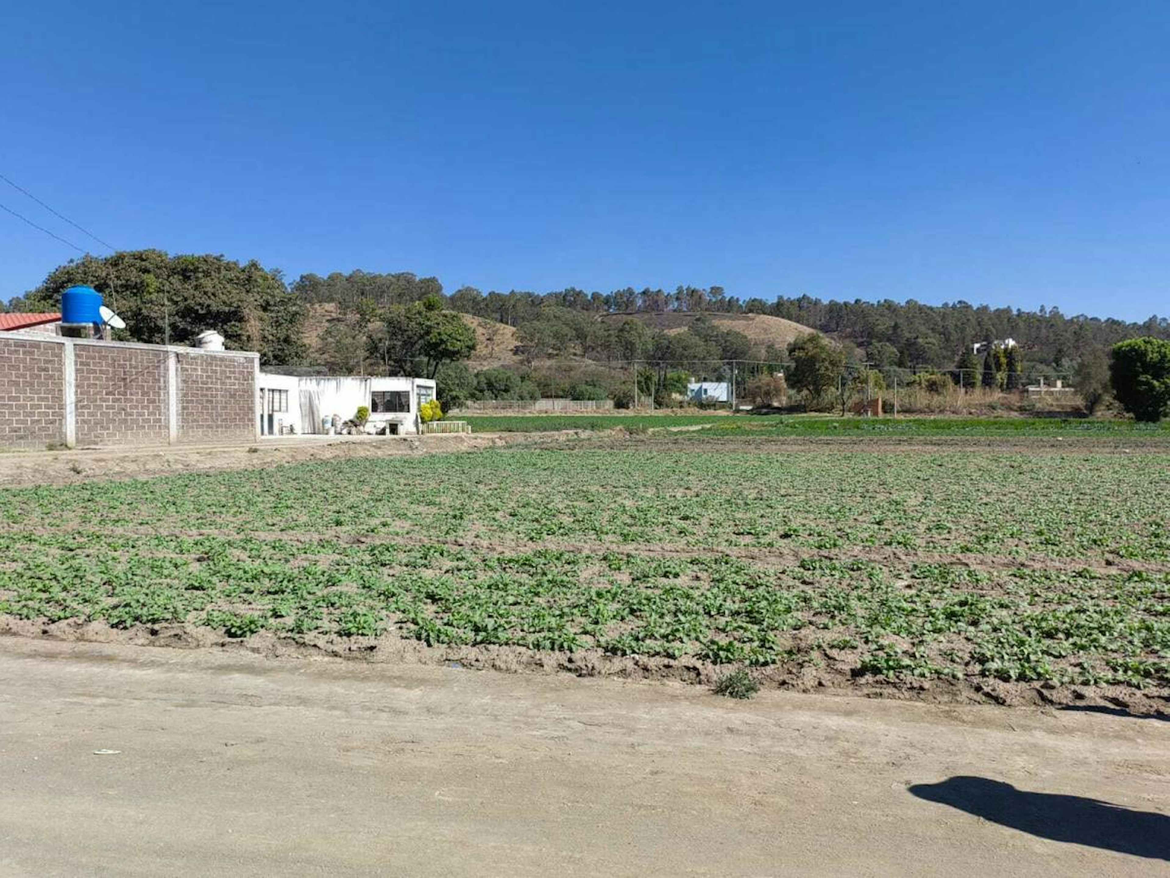 Terreno En Renta En Zerezotla, San Pedro Cholula, Puebla