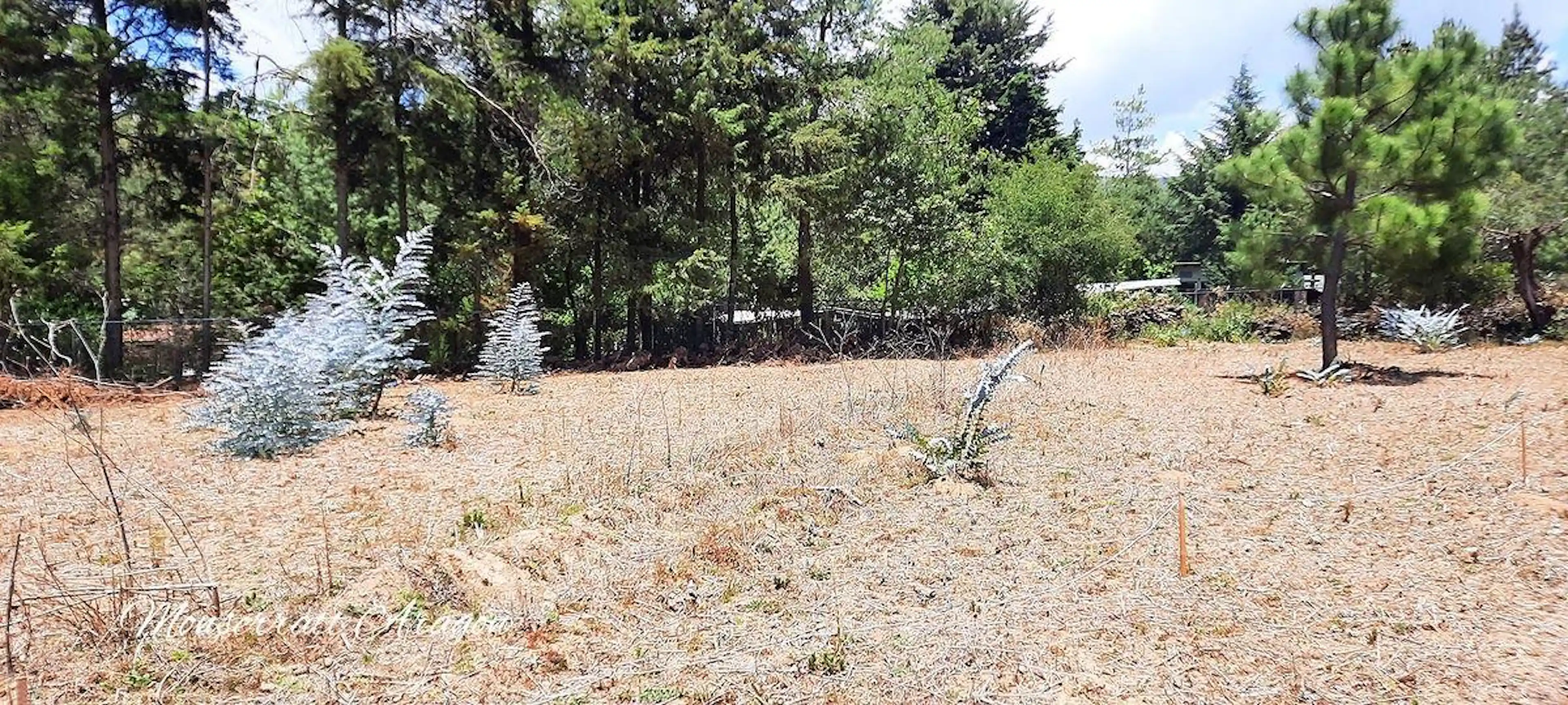 Lotes de 600 mts a 35 minutos de Valle o Avándaro