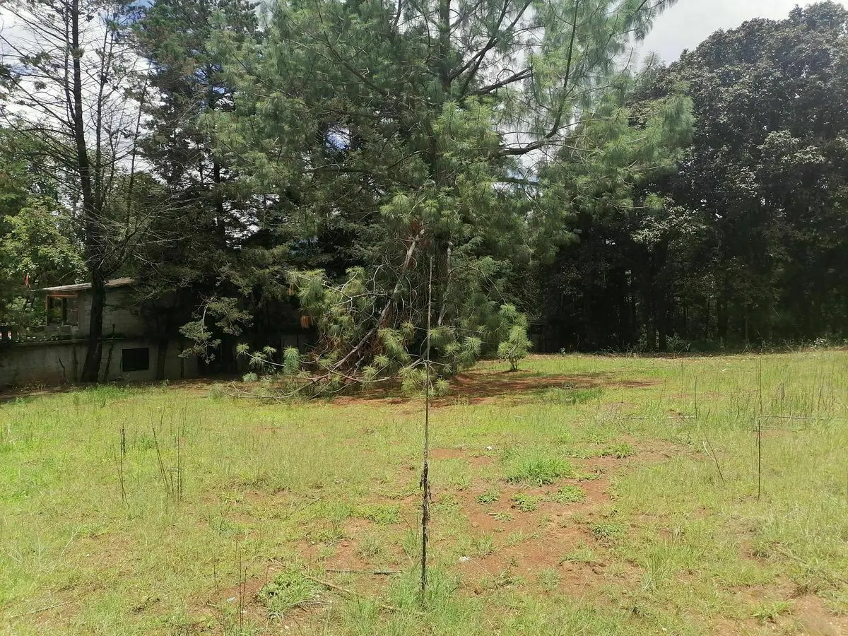 Terreno Spot2