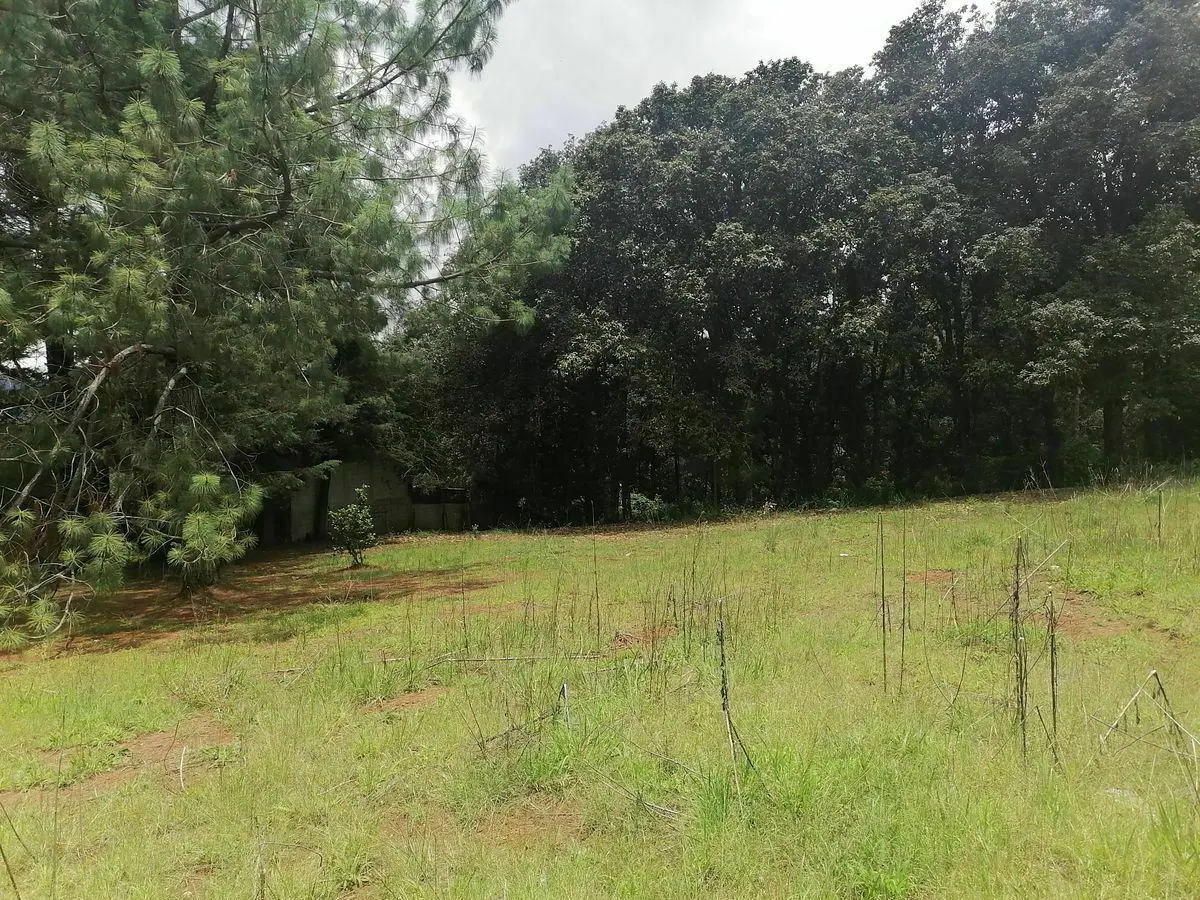 Terreno Spot2