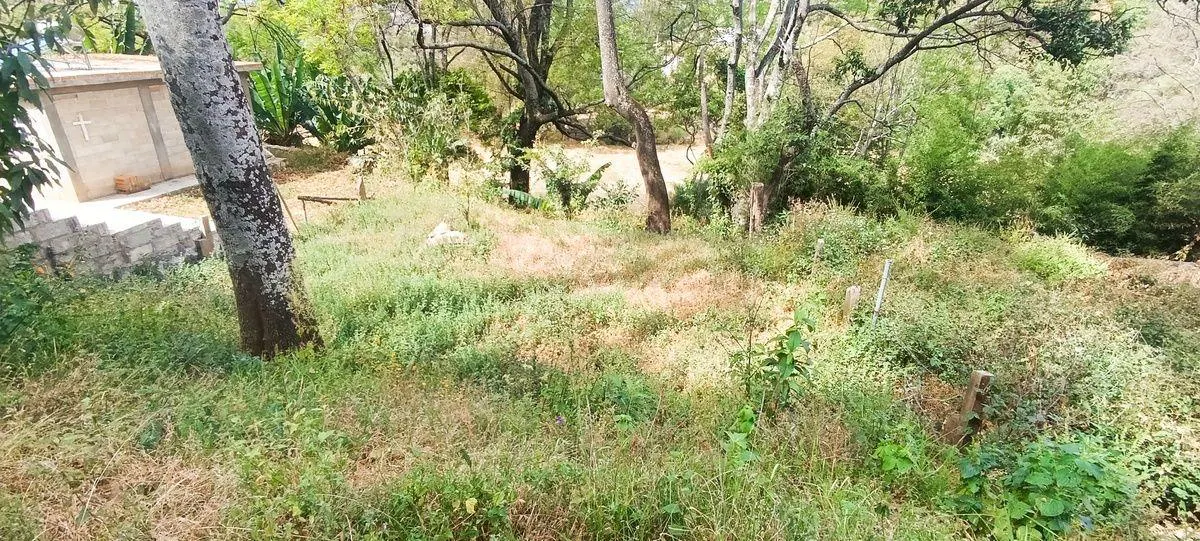 Terreno Spot2
