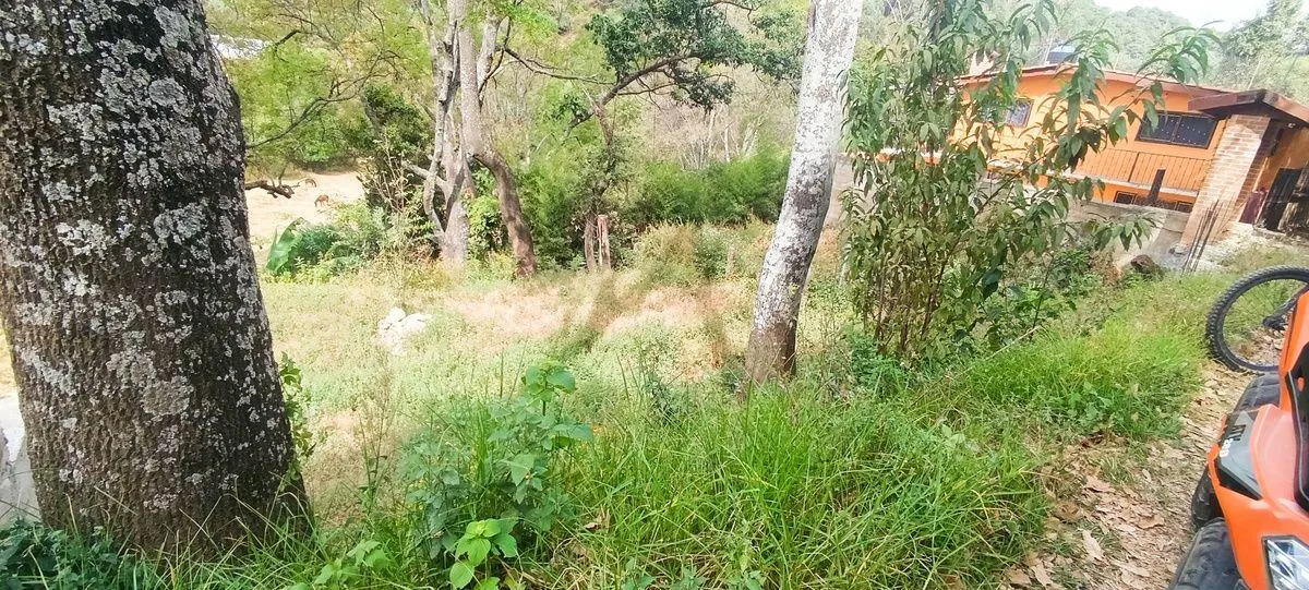 Terreno Spot2