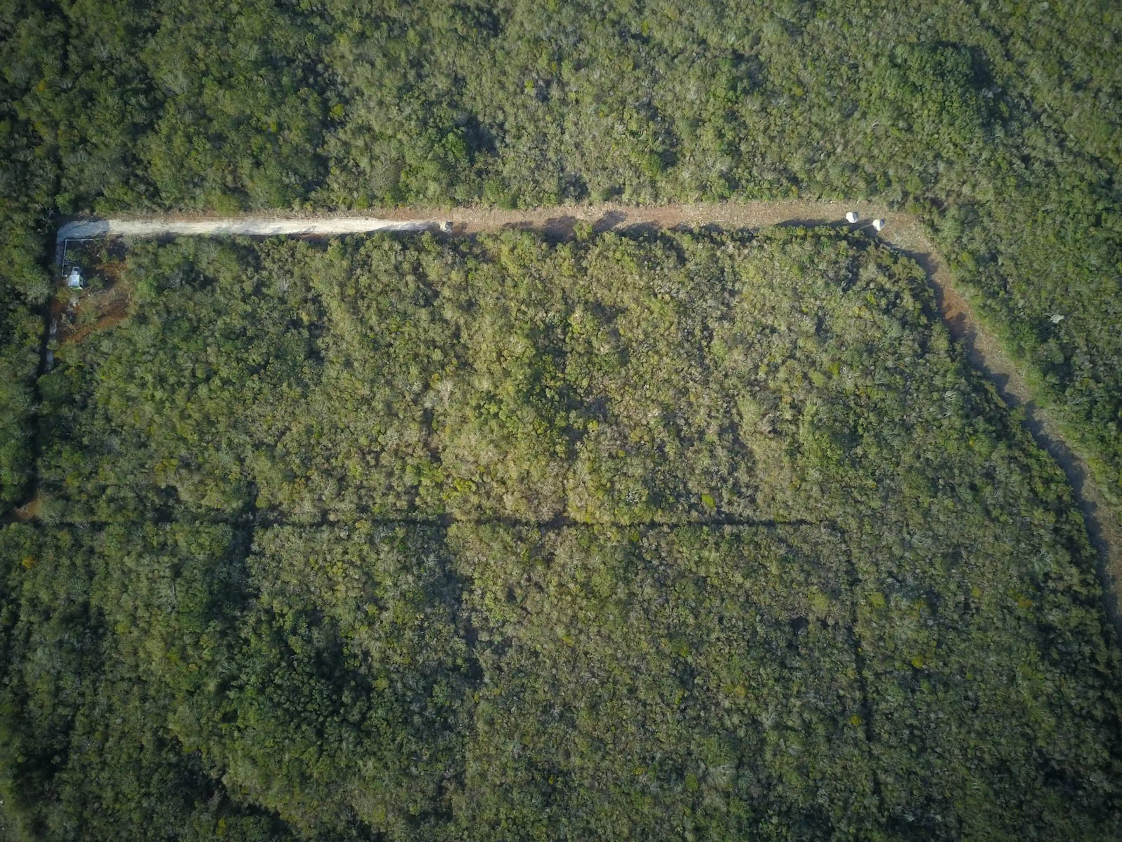 Terreno En Venta En Cacalchen Yucatan