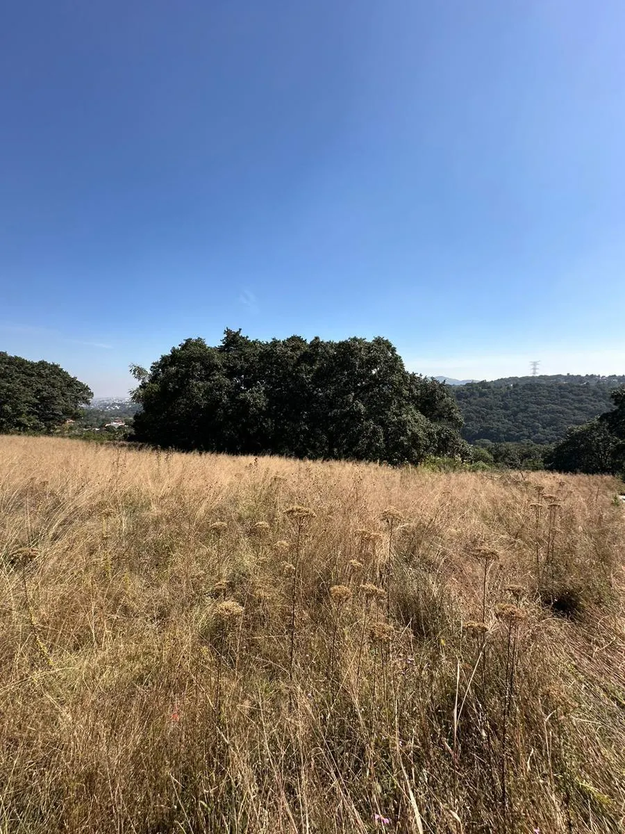 Terreno Spot2