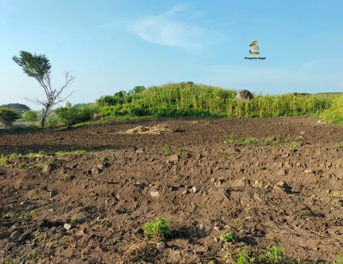 Terreno Spot2
