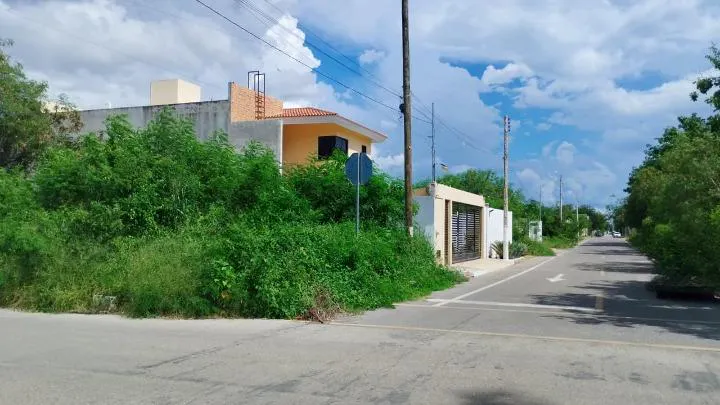 Terreno Spot2